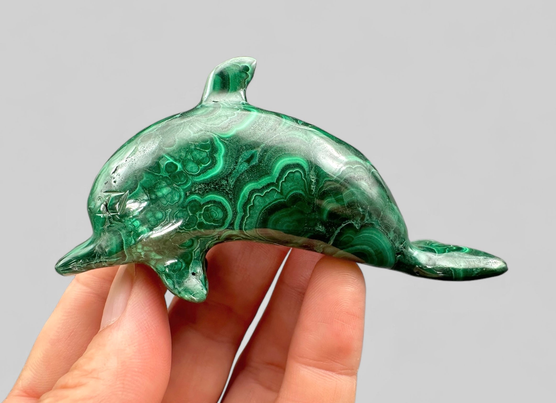 Malachite animal – Dolphin - MZ027