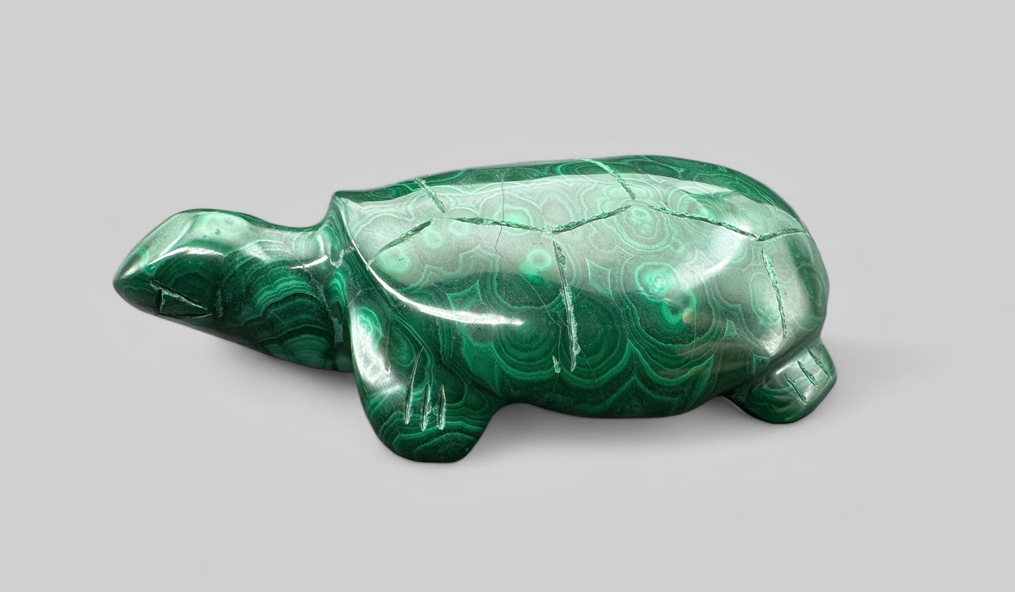 Animale in Malachite – Tartaruga – MZ028