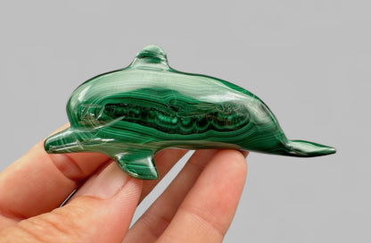 Animale in Malachite – Delfino – MZ029