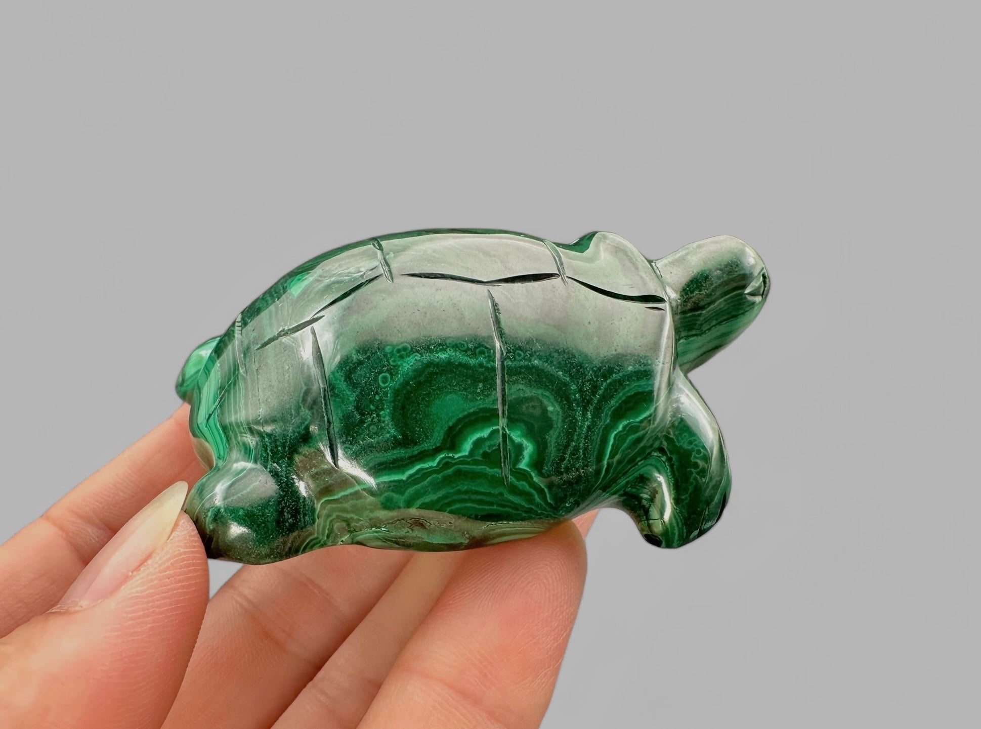 Malachite animal – Turtle - MZ032