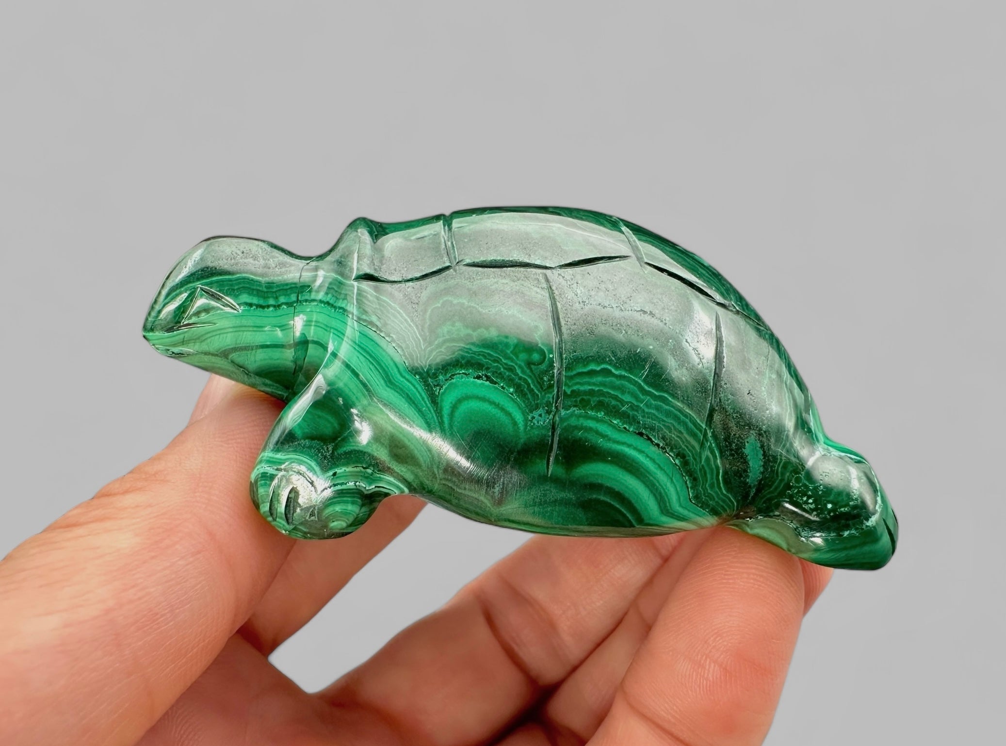 Malachite animal – Turtle - MZ032