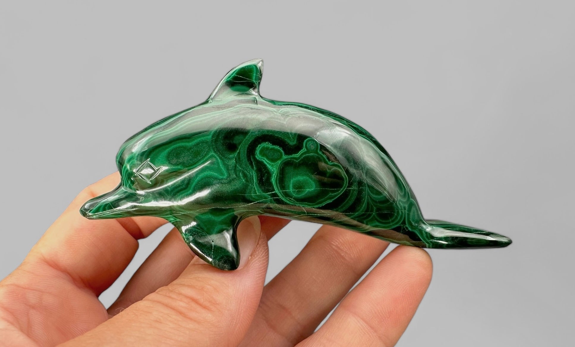 Malachite animal – Dolphin - MZ033