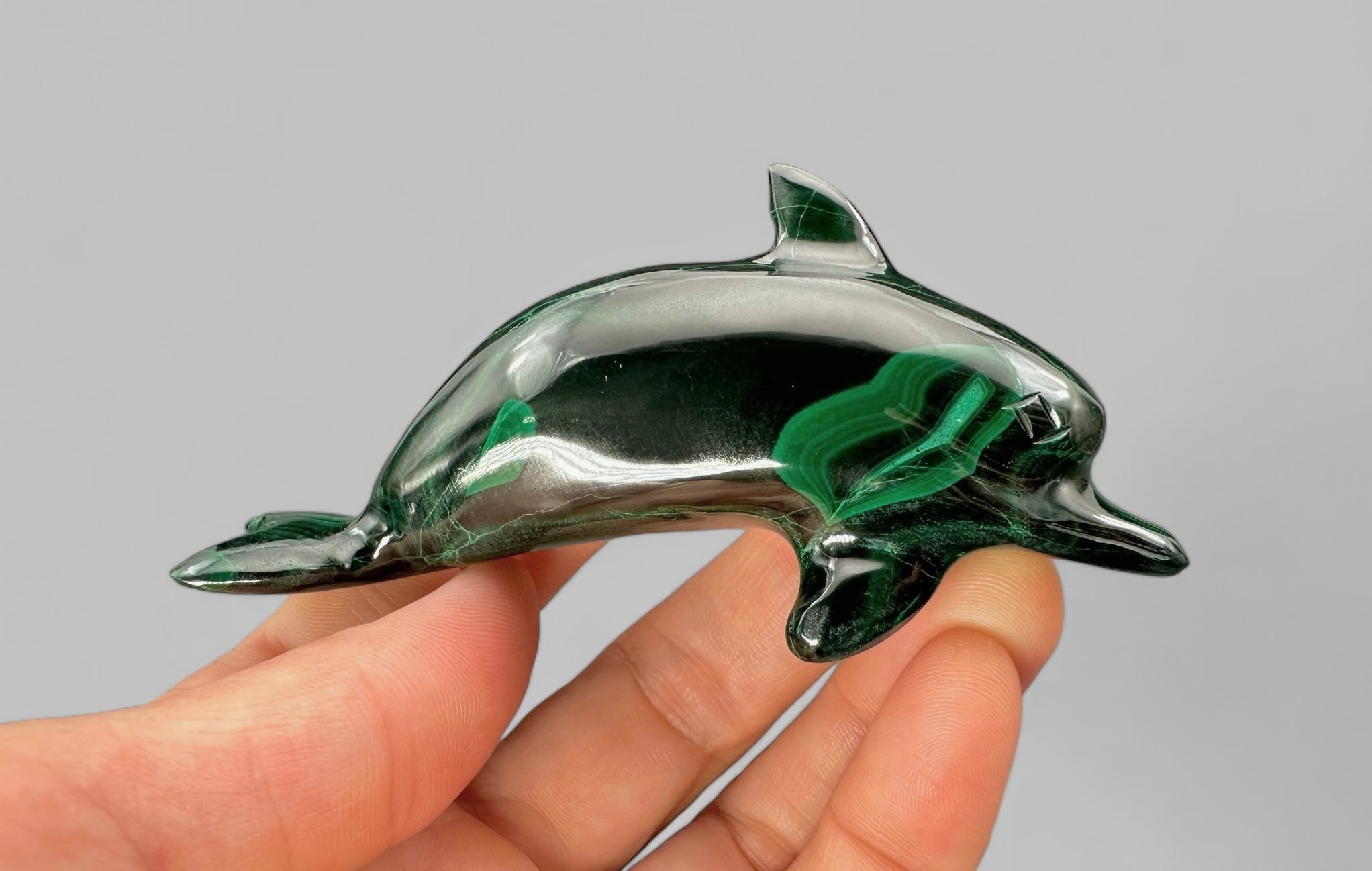 Malachite animal – Dolphin - MZ033