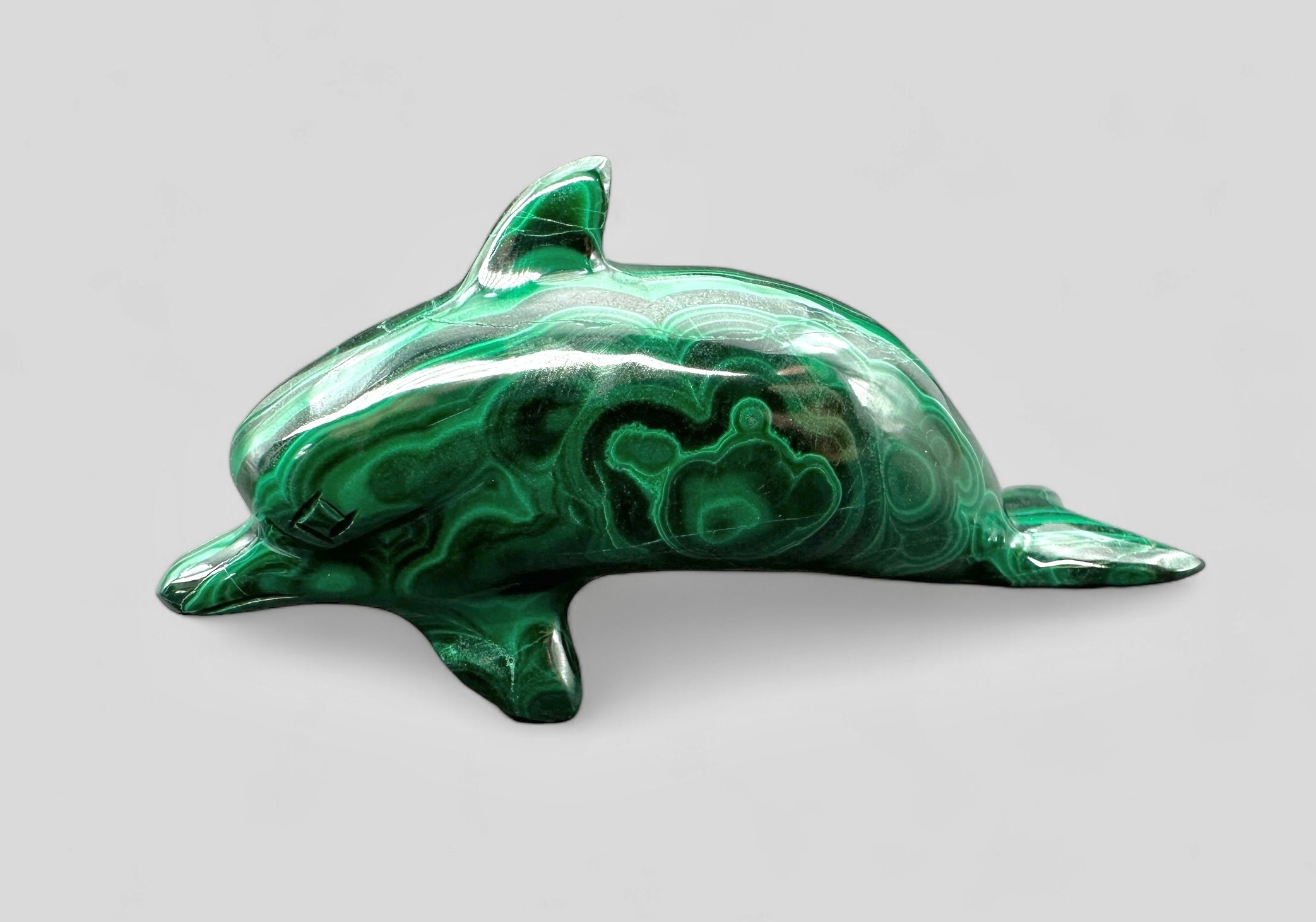 Malachite animal – Dolphin