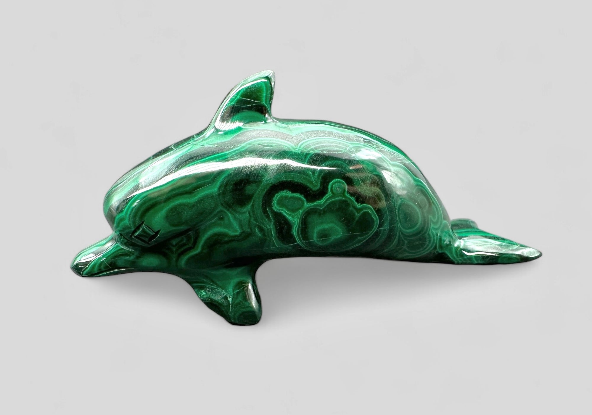 Malachite animal – Dolphin
