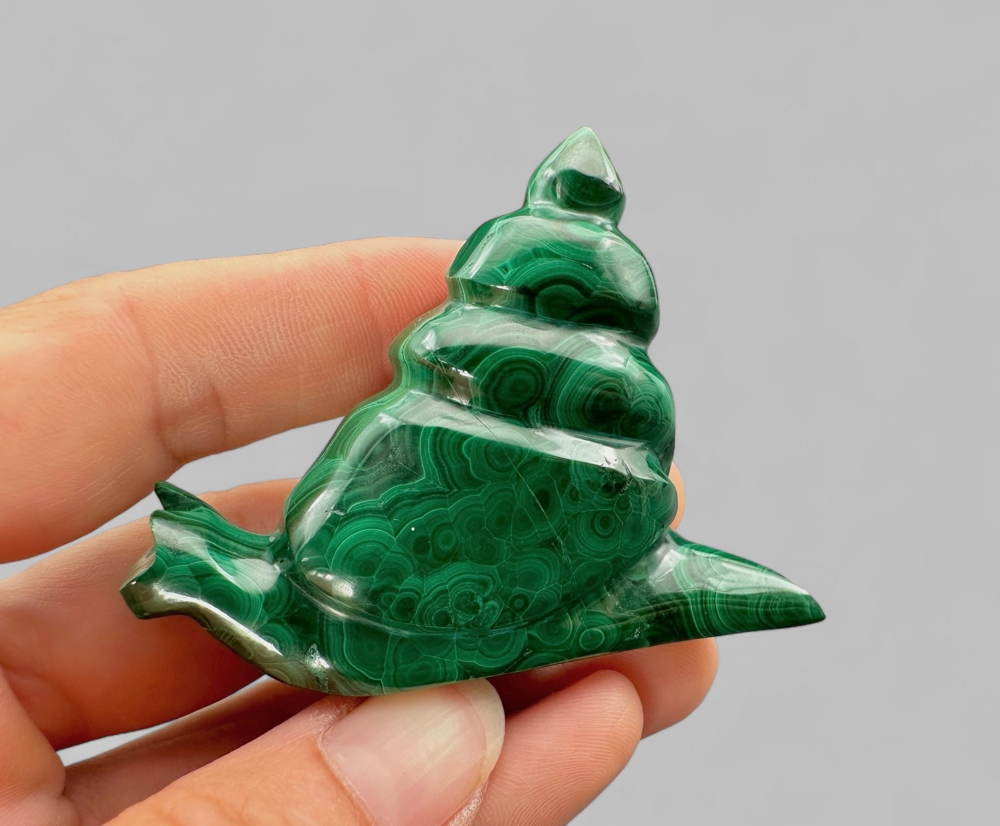 Malachite animal – Snail - MZ034