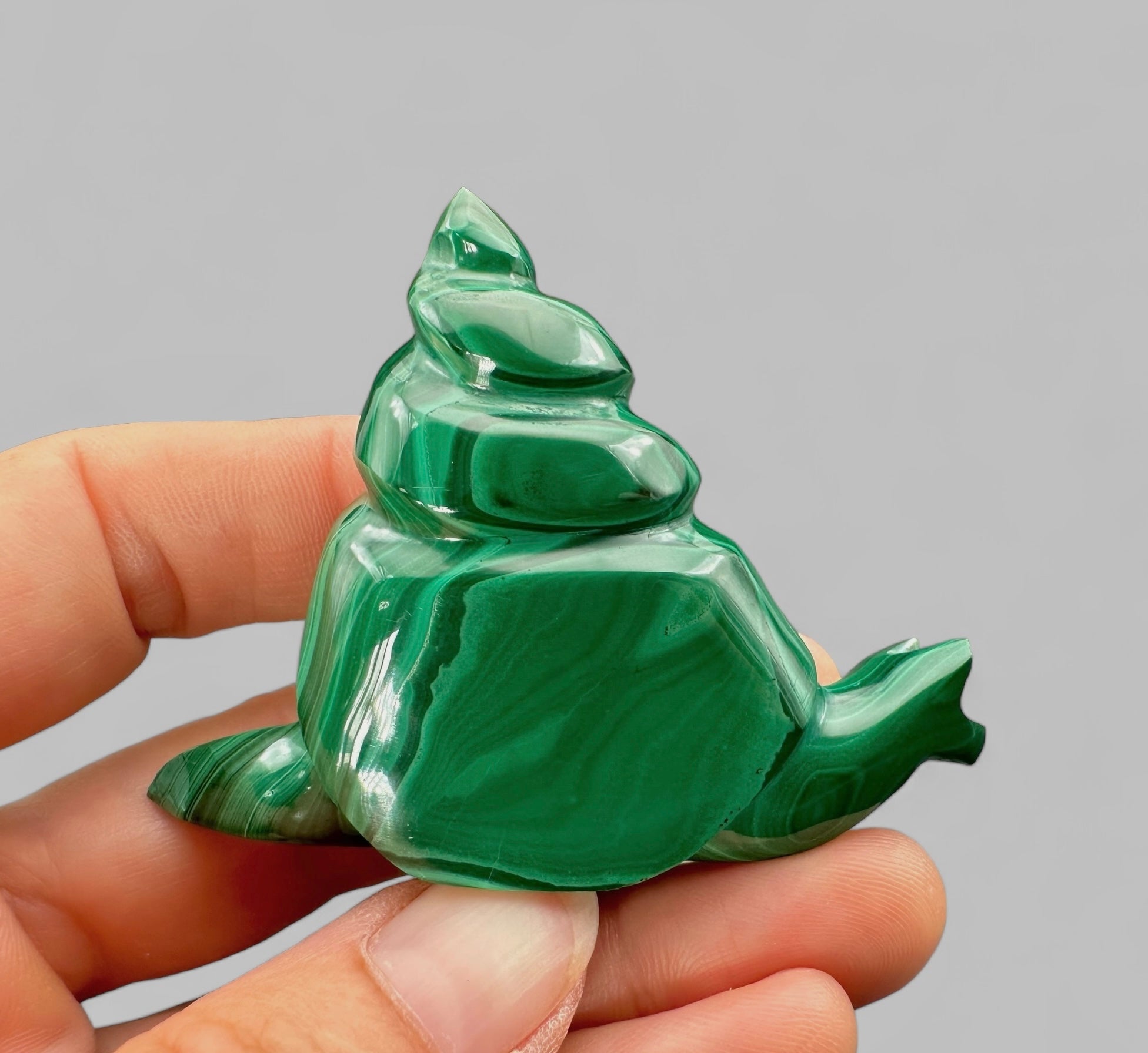 Malachite animal – Snail - MZ034
