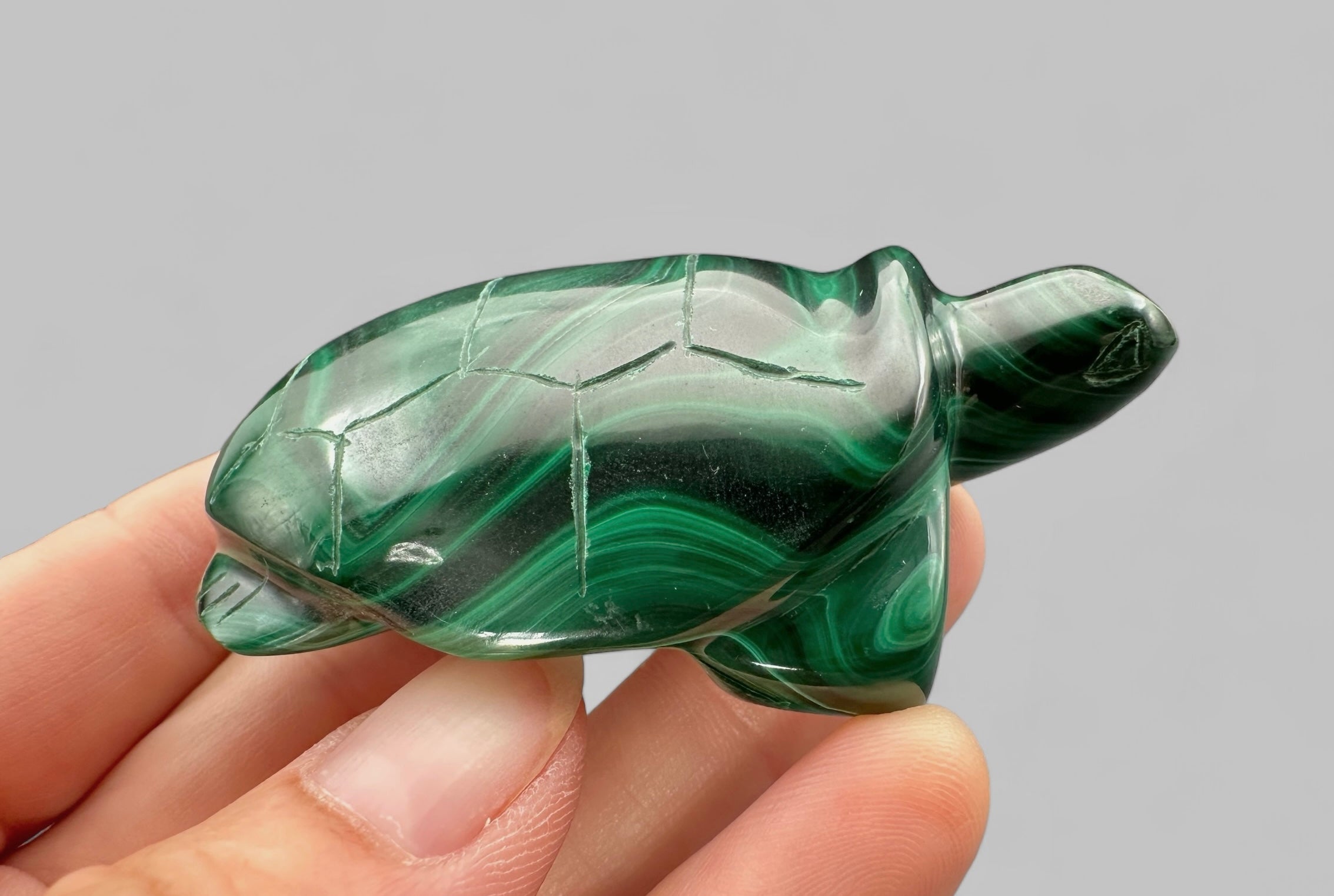 Malachite animal – Turtle - MZ036