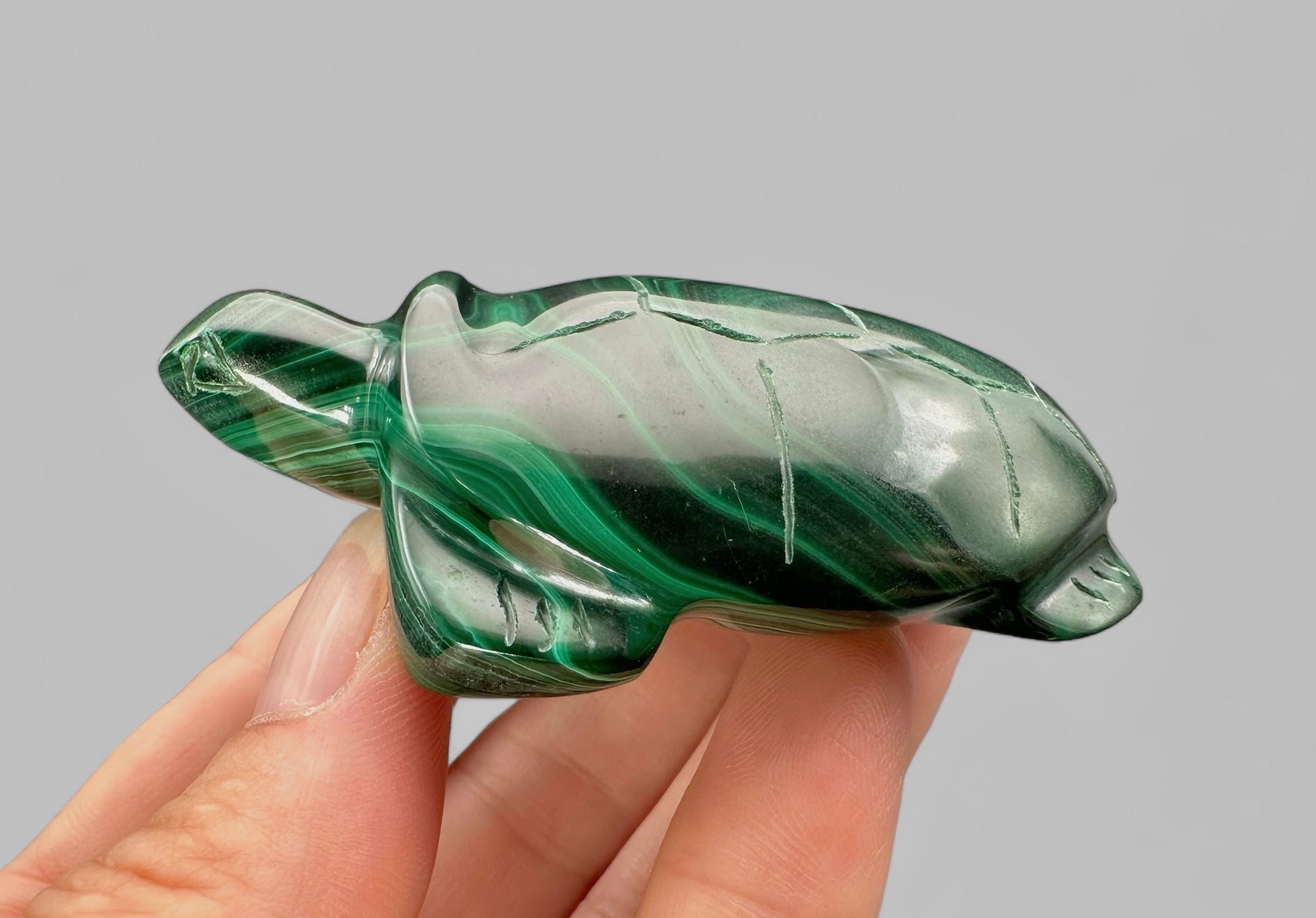 Malachite animal – Turtle - MZ036