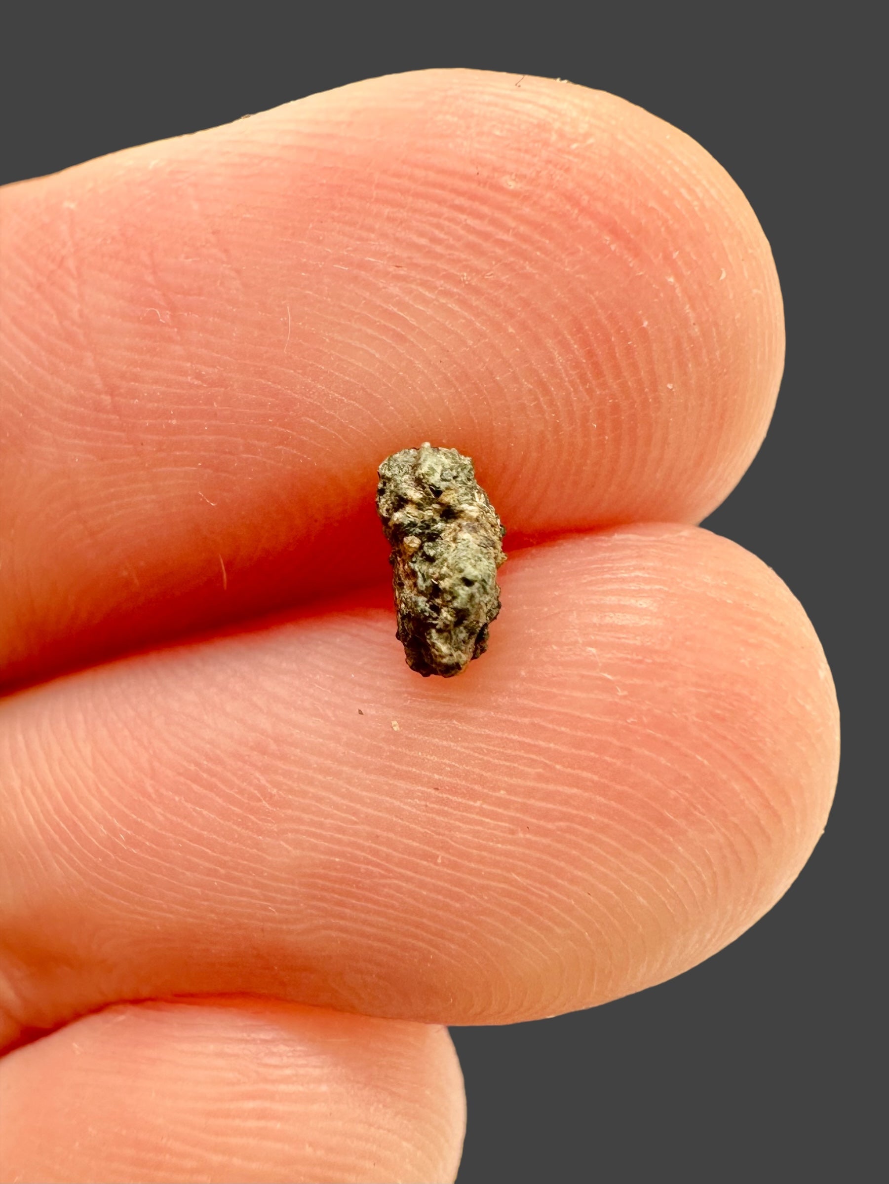 Meteorite NWA 15200 – 0,08g – Algeria, Northwest Africa - MEMN02