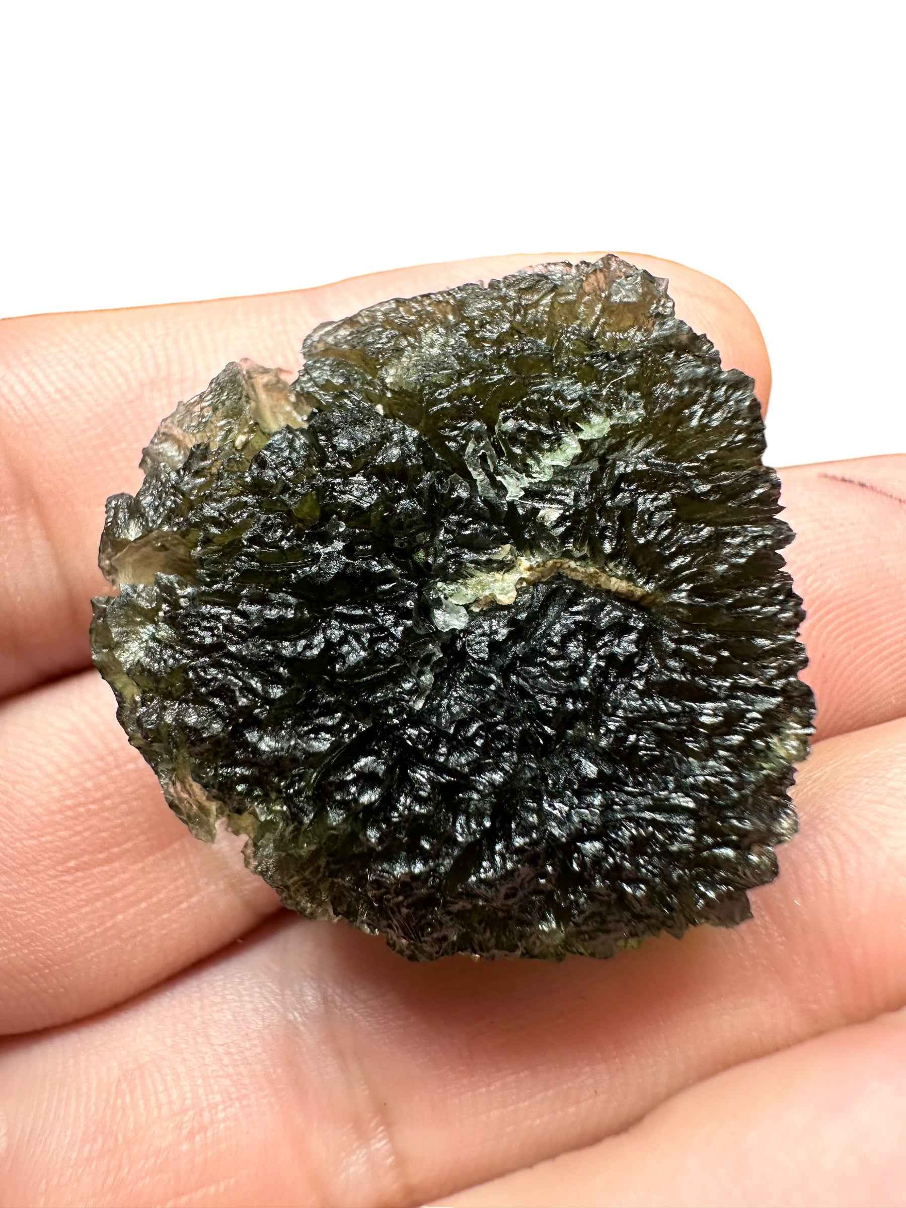 Moldavite – Slavce u CB – 15,6g - V2011