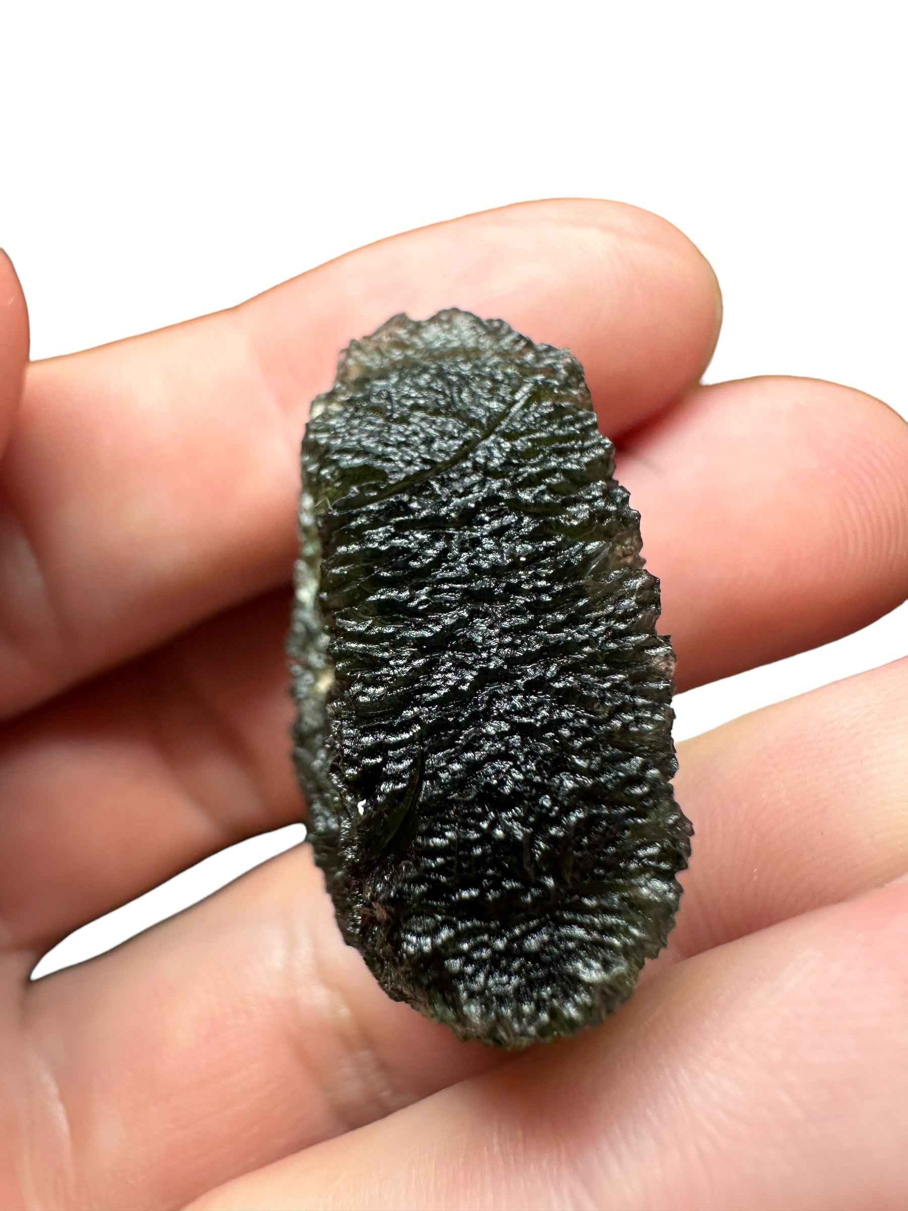 Moldavite – Slavce u CB – 15,6g - V2011