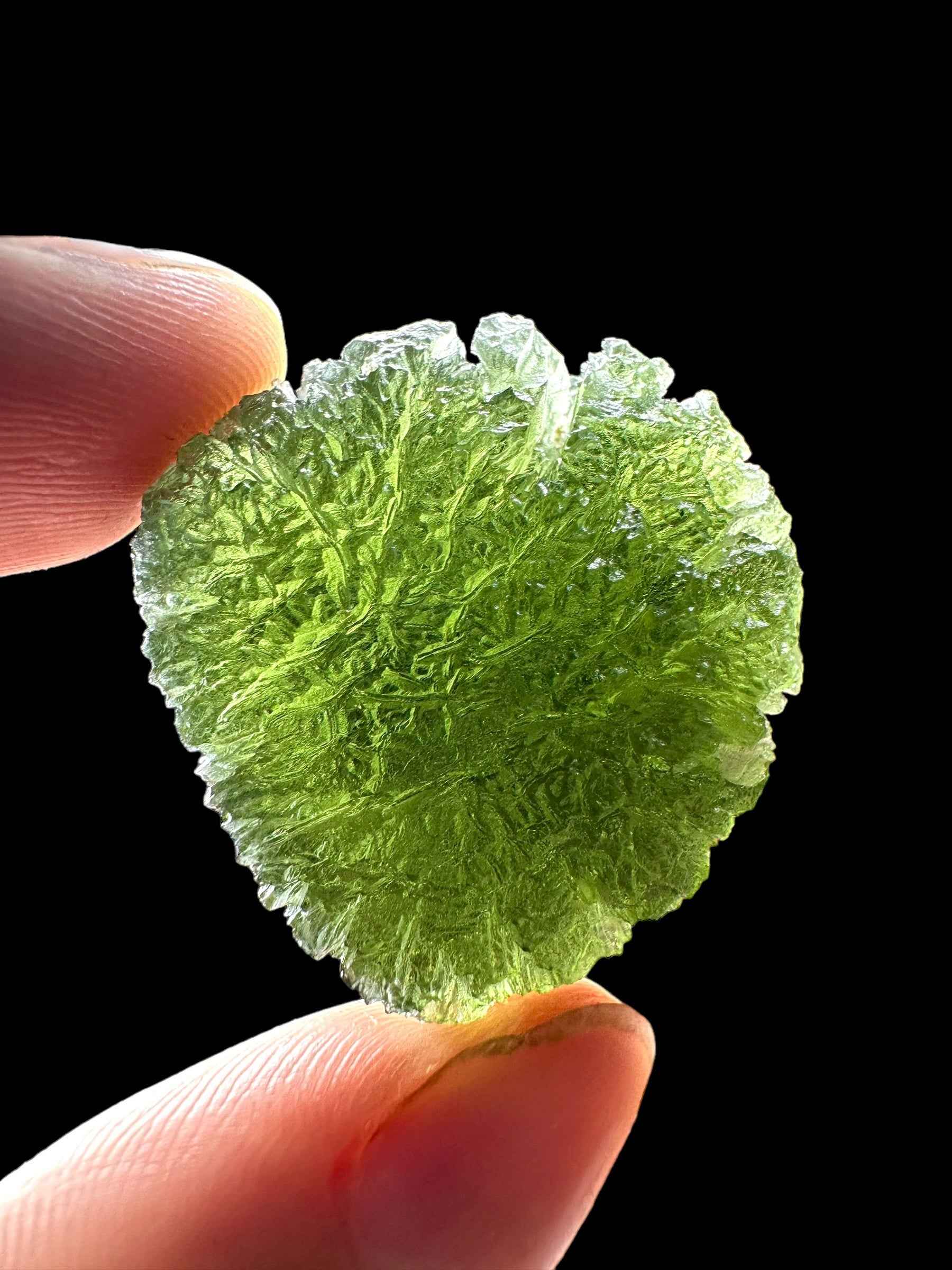 Moldavite – Slavce u CB – 15,6g - V2011