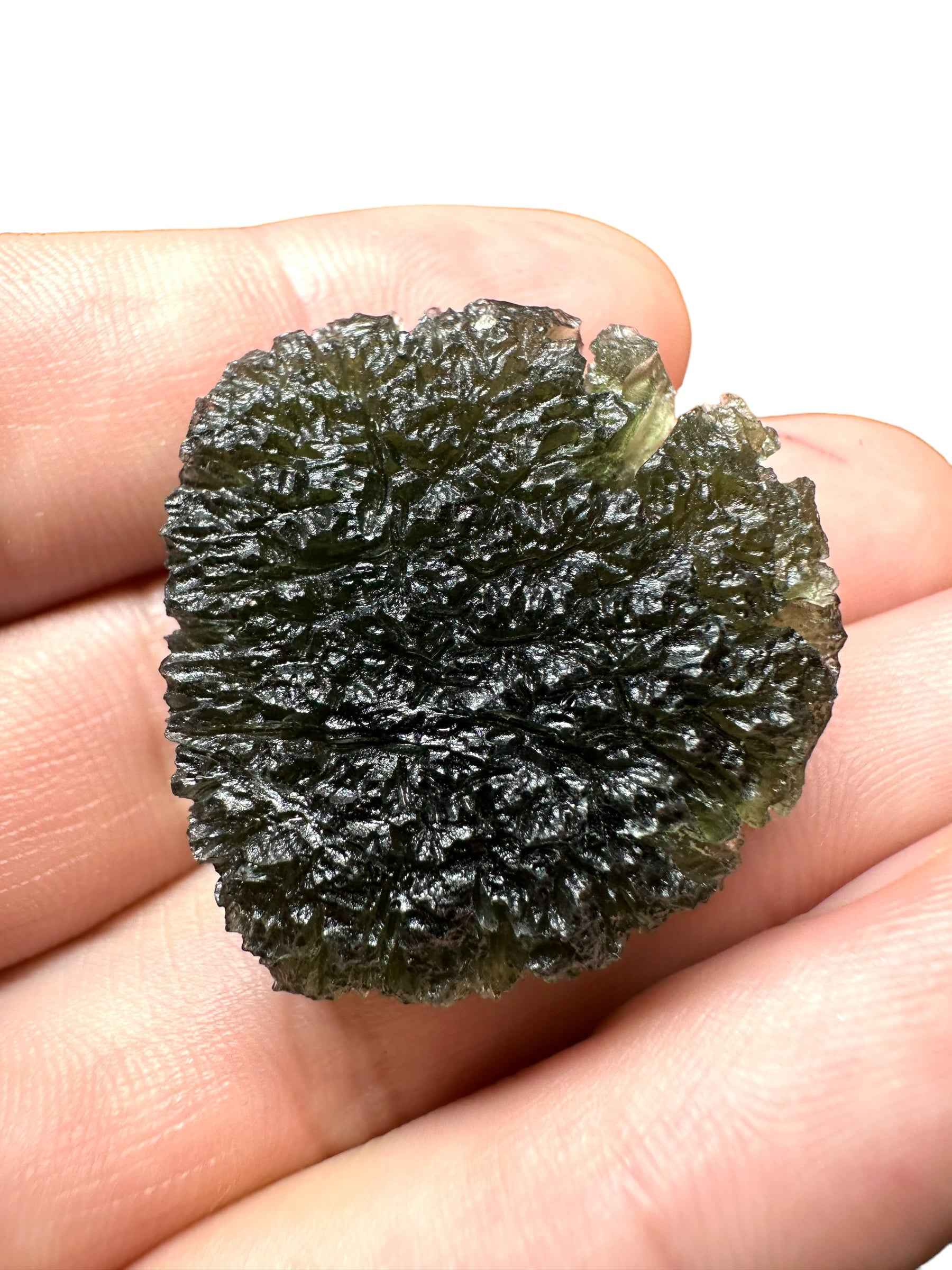 Moldavite – Slavce u CB – 15,6g - V2011