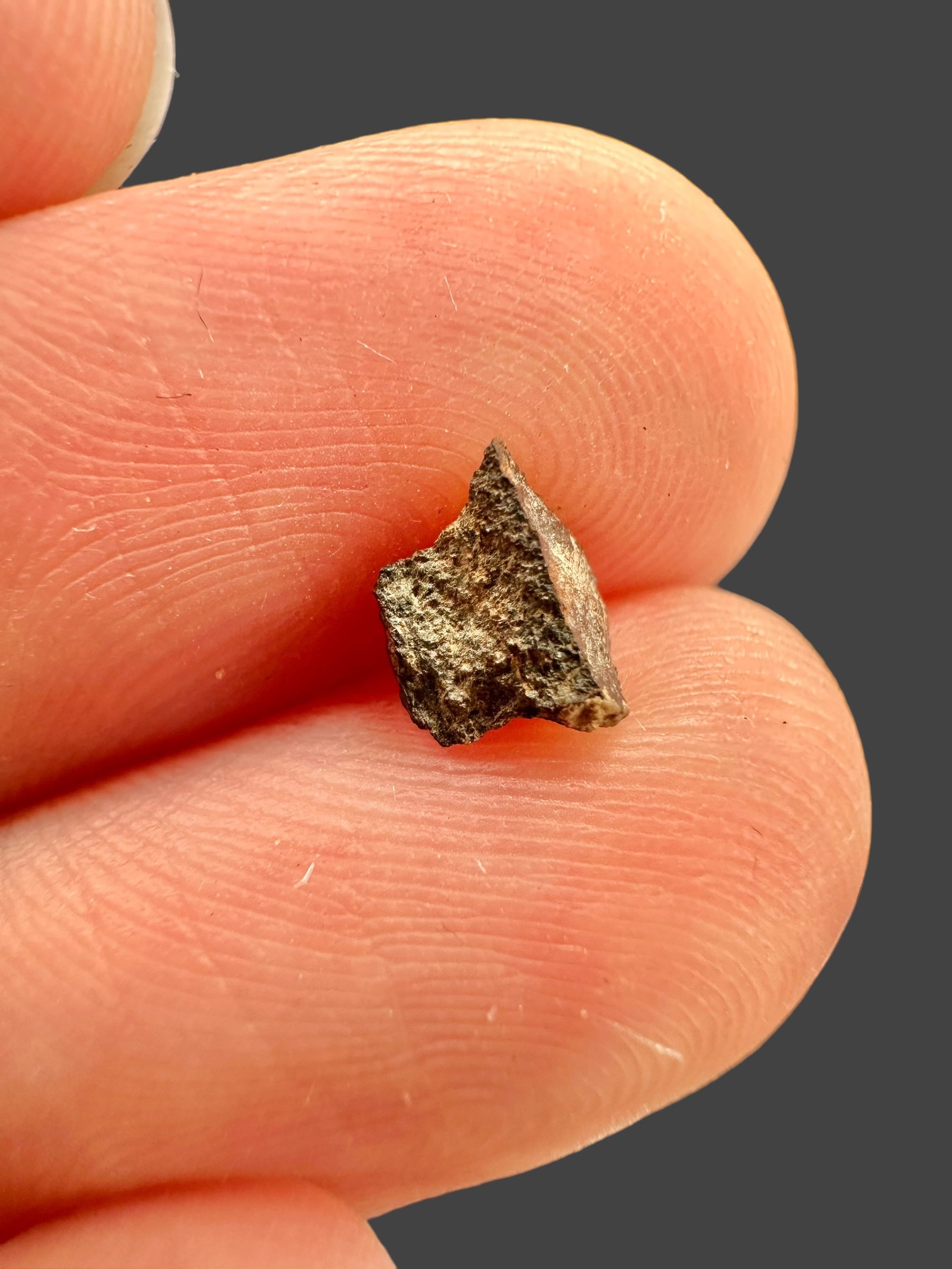 Meteorite Errachidia 004 – 0,12g – Morocco - MEER04