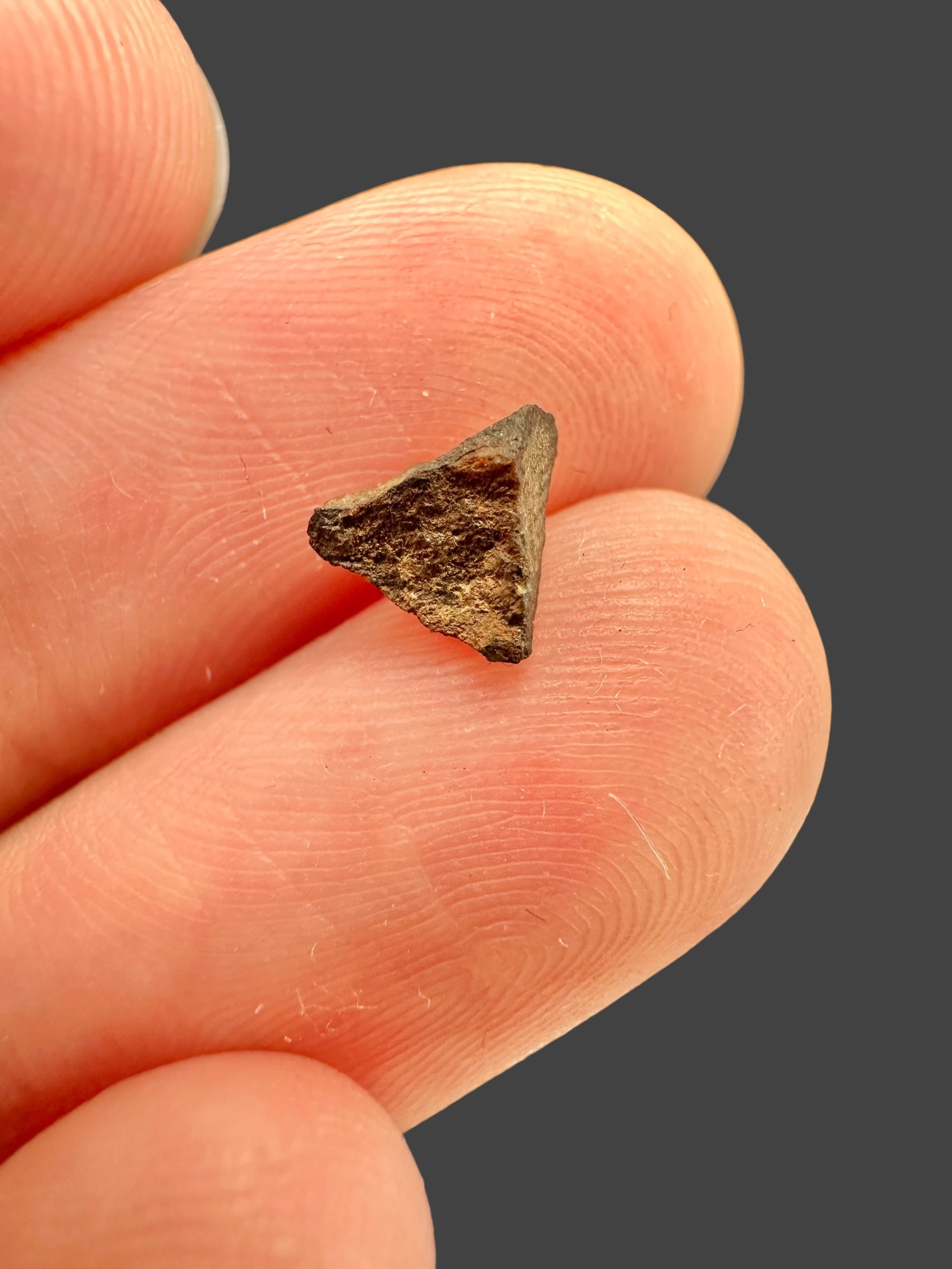 Meteorite Errachidia 004 – 0,12g – Morocco - MEER06