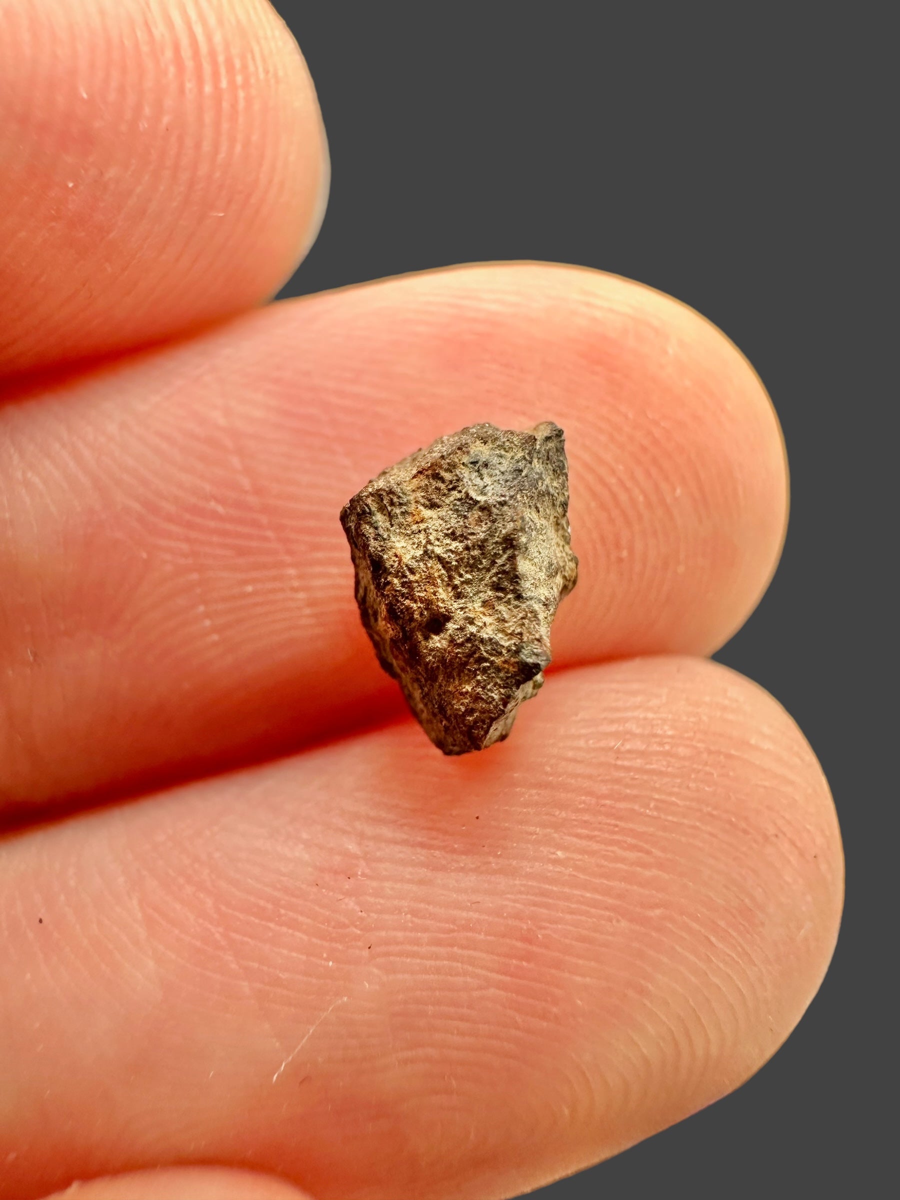 Meteorite Errachidia 004 – 0,28g – Morocco - MEER08