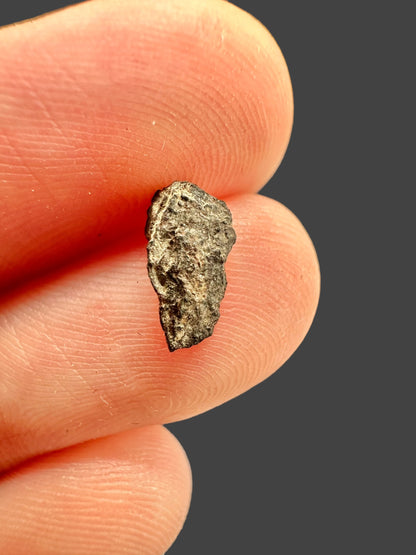 Meteorite Errachidia 004 – Morocco – MEER09
