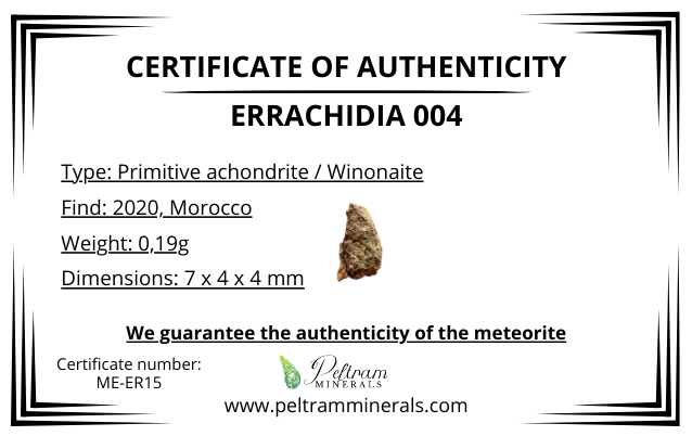 Meteorite Errachidia 004 – Morocco – MEER15