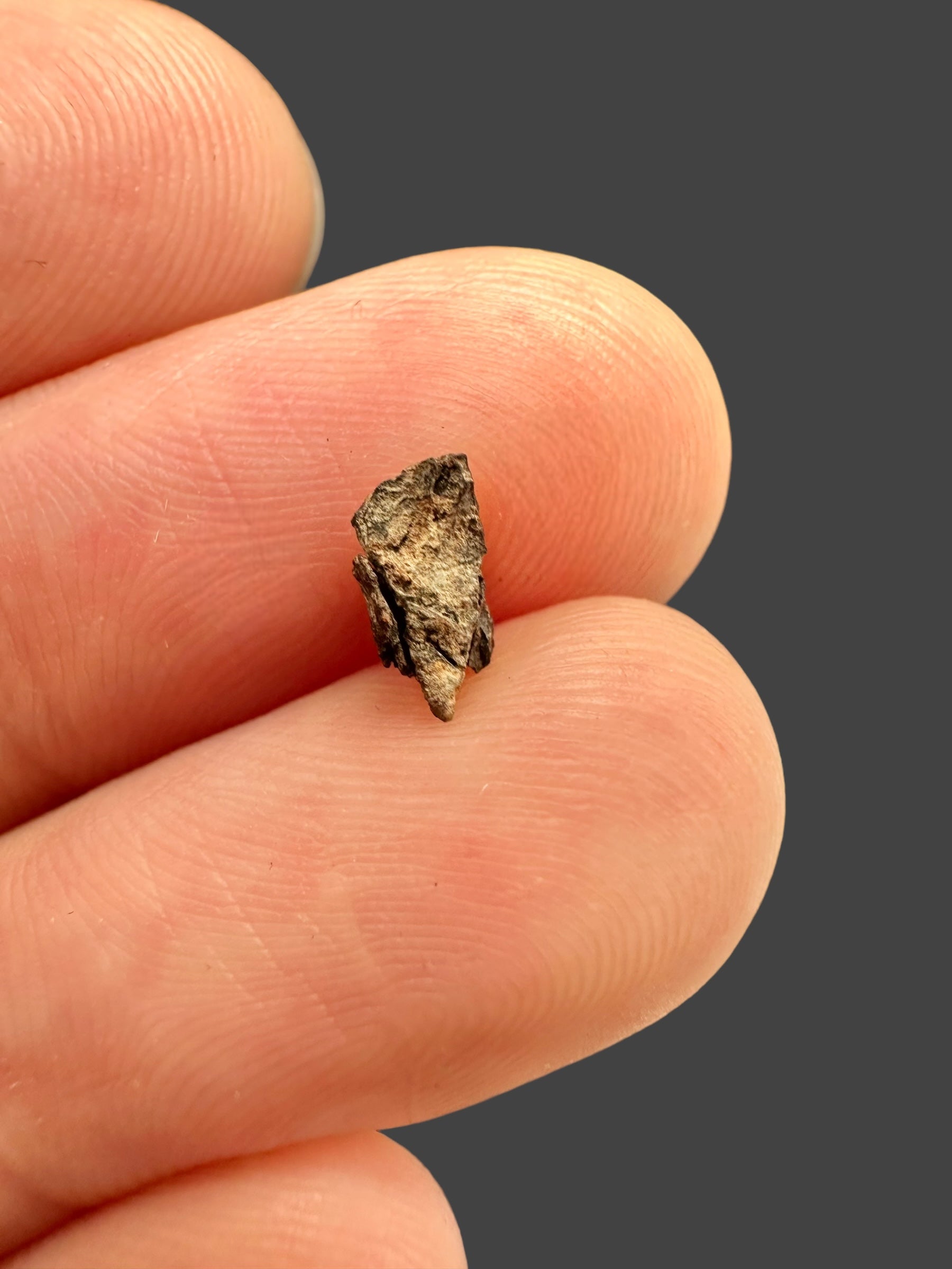 Meteorite Errachidia 004 – 0,19g – Morocco - MEER15