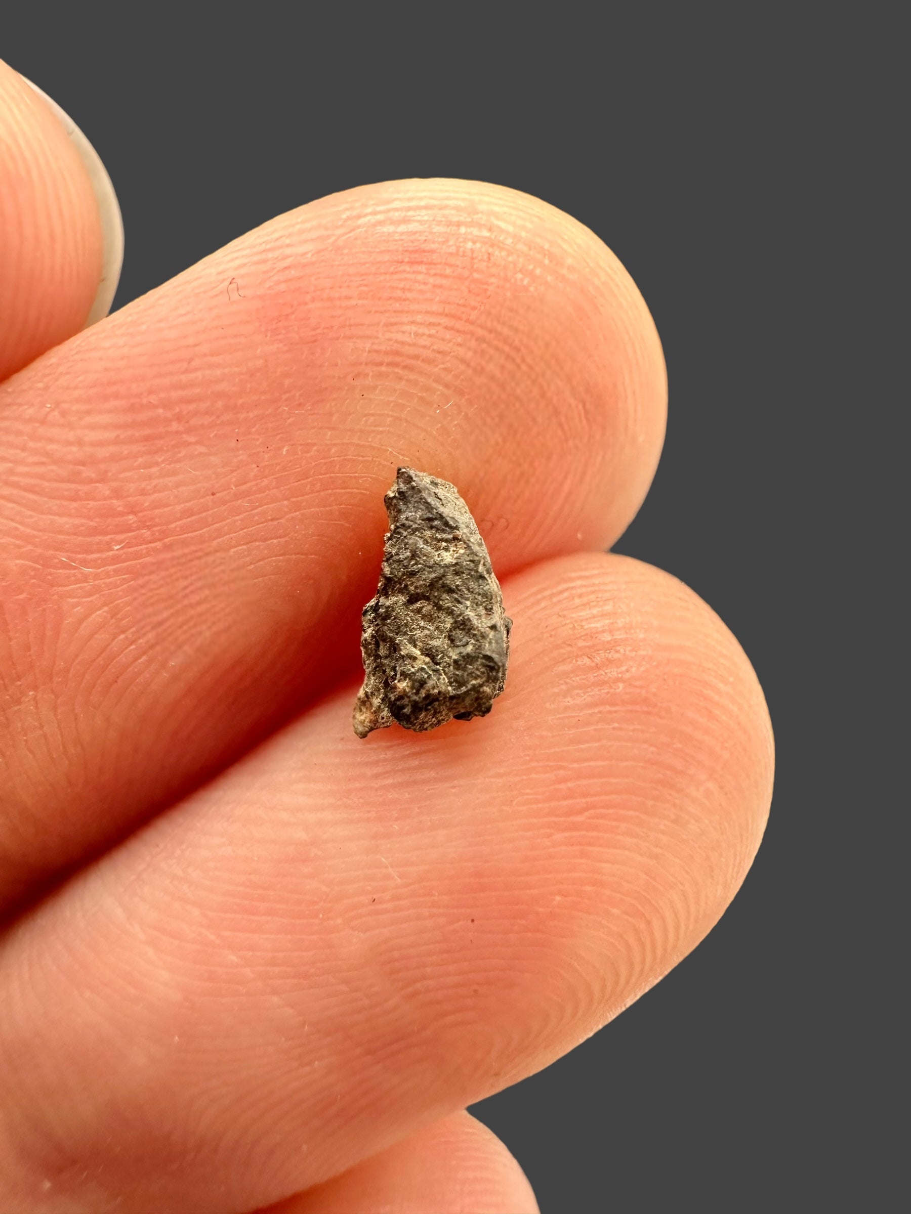 Meteorite Errachidia 004 – 0,19g – Morocco - MEER15