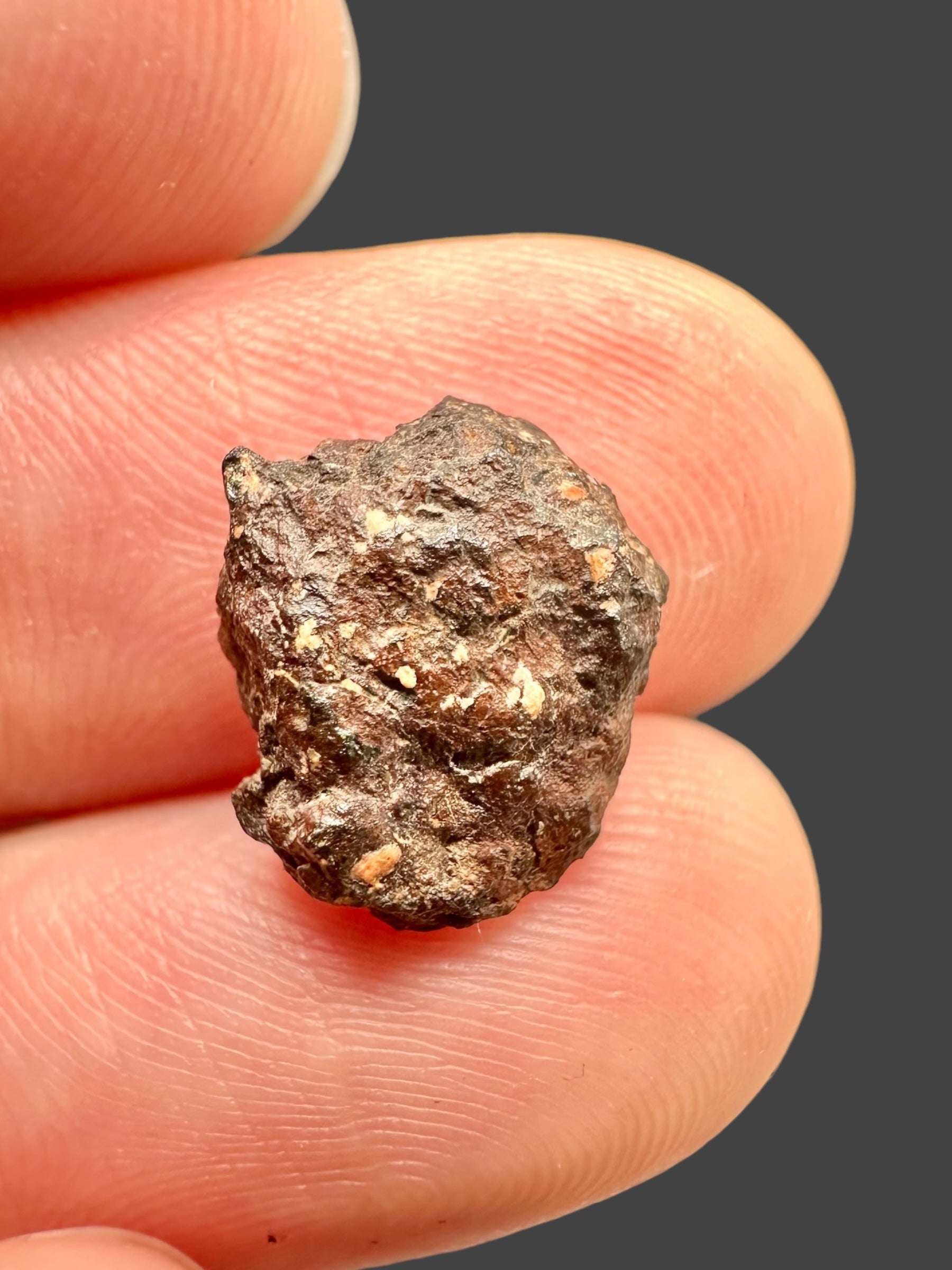 Meteorite Errachidia 004 – 0,92g – Morocco - MEER18