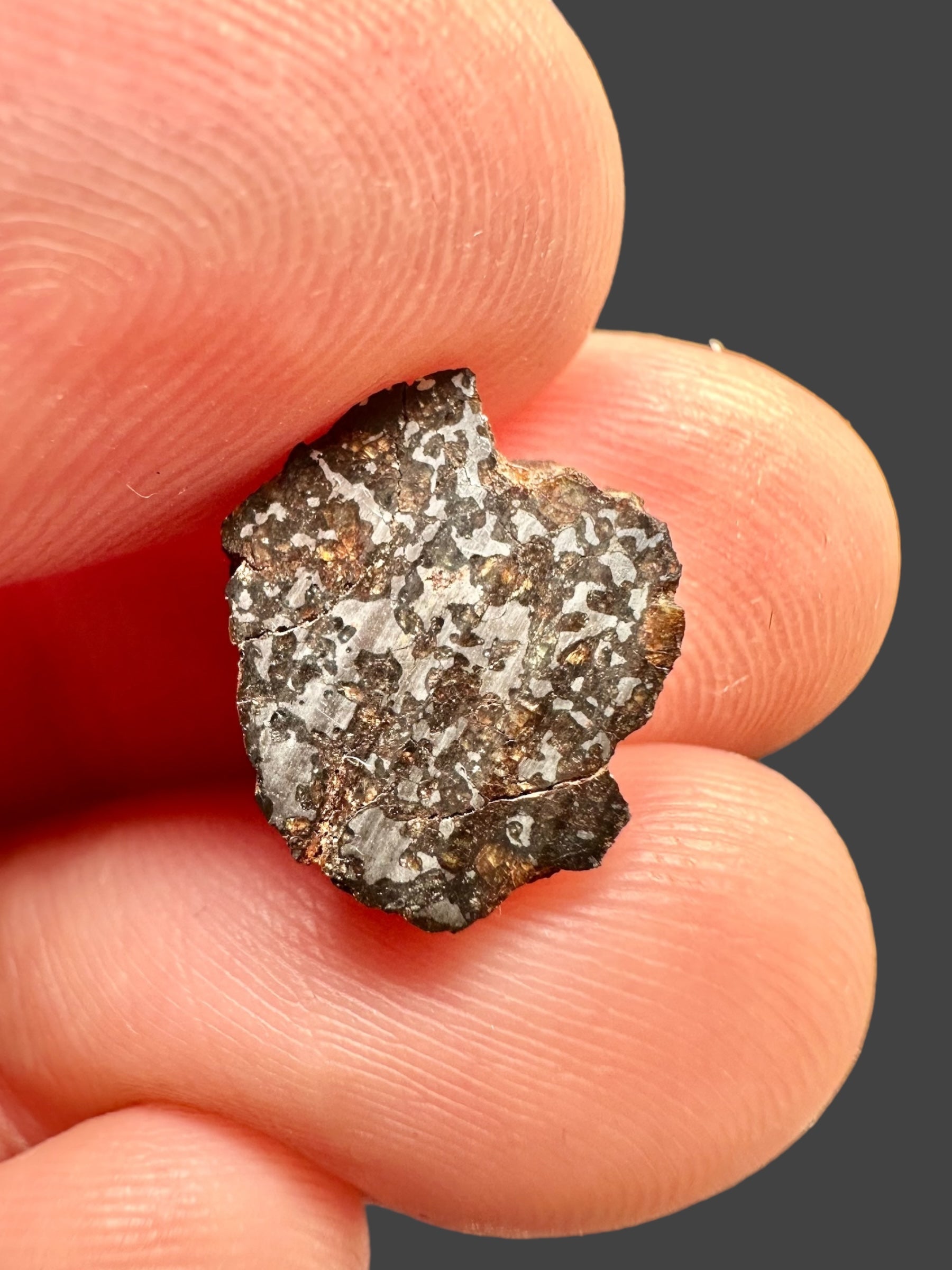Meteorite Errachidia 004 – 0,92g – Morocco - MEER18