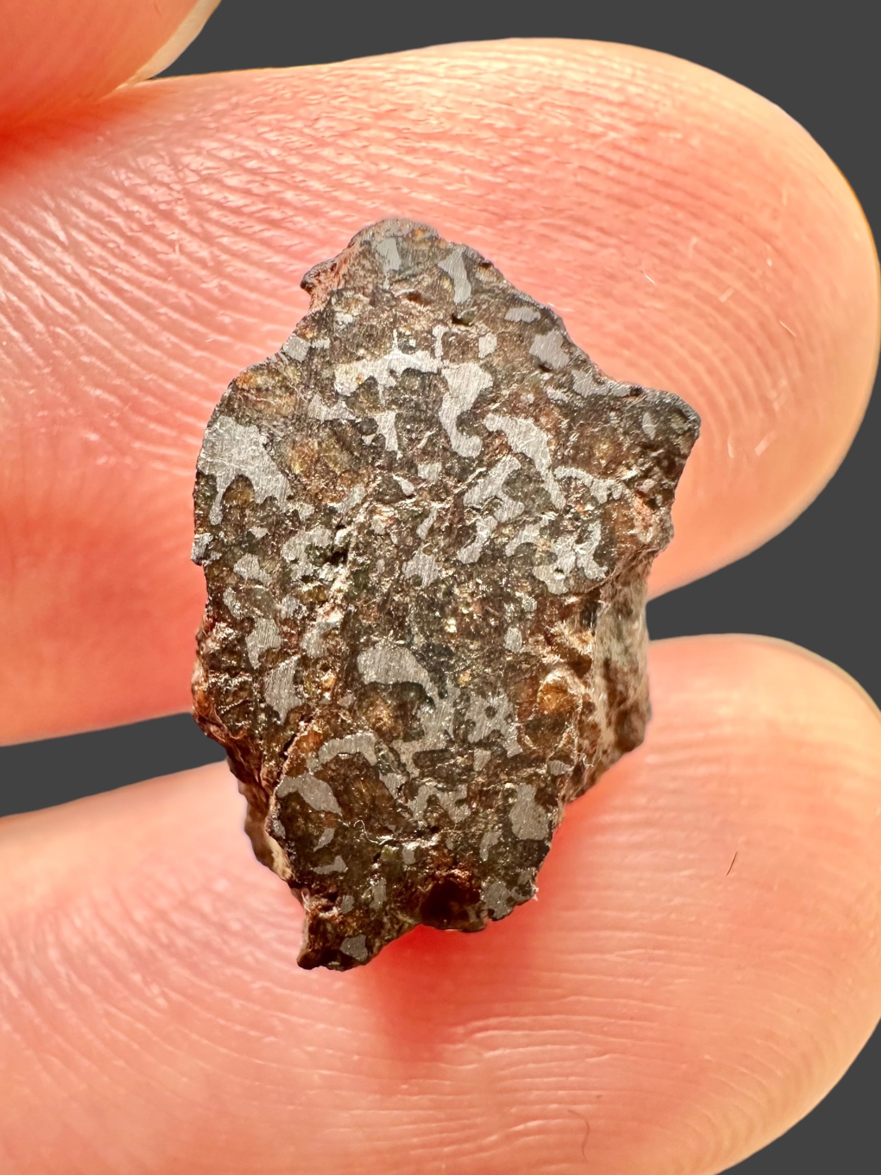 Meteorite Errachidia 004 – 1,04g – Morocco - MEER19