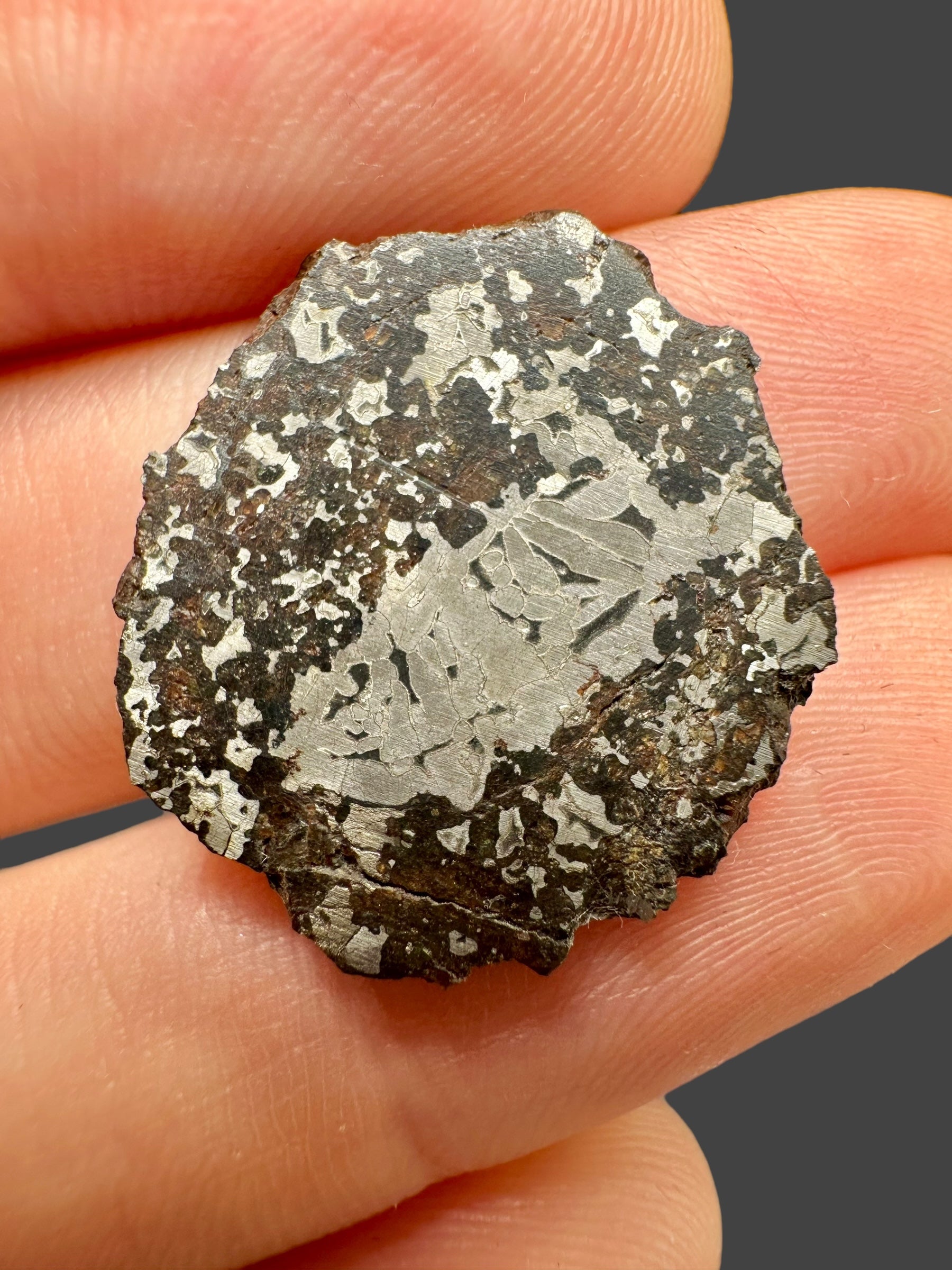 Meteorite Errachidia 004 – 2,8g – Morocco - MEER20