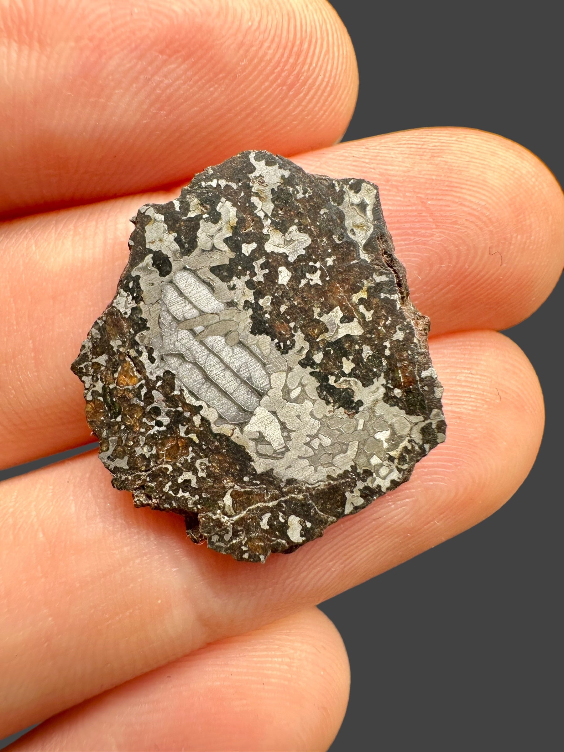 Meteorite Errachidia 004 – 2,8g – Morocco - MEER20