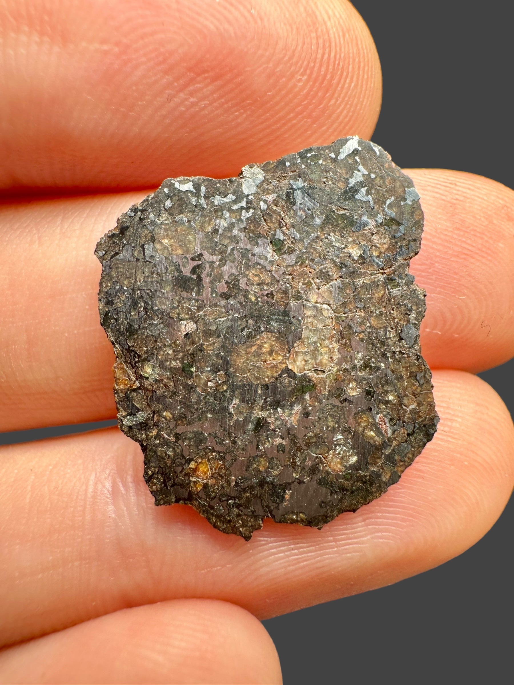 Meteorite Errachidia 004 – 1,23g – Morocco - MEER21