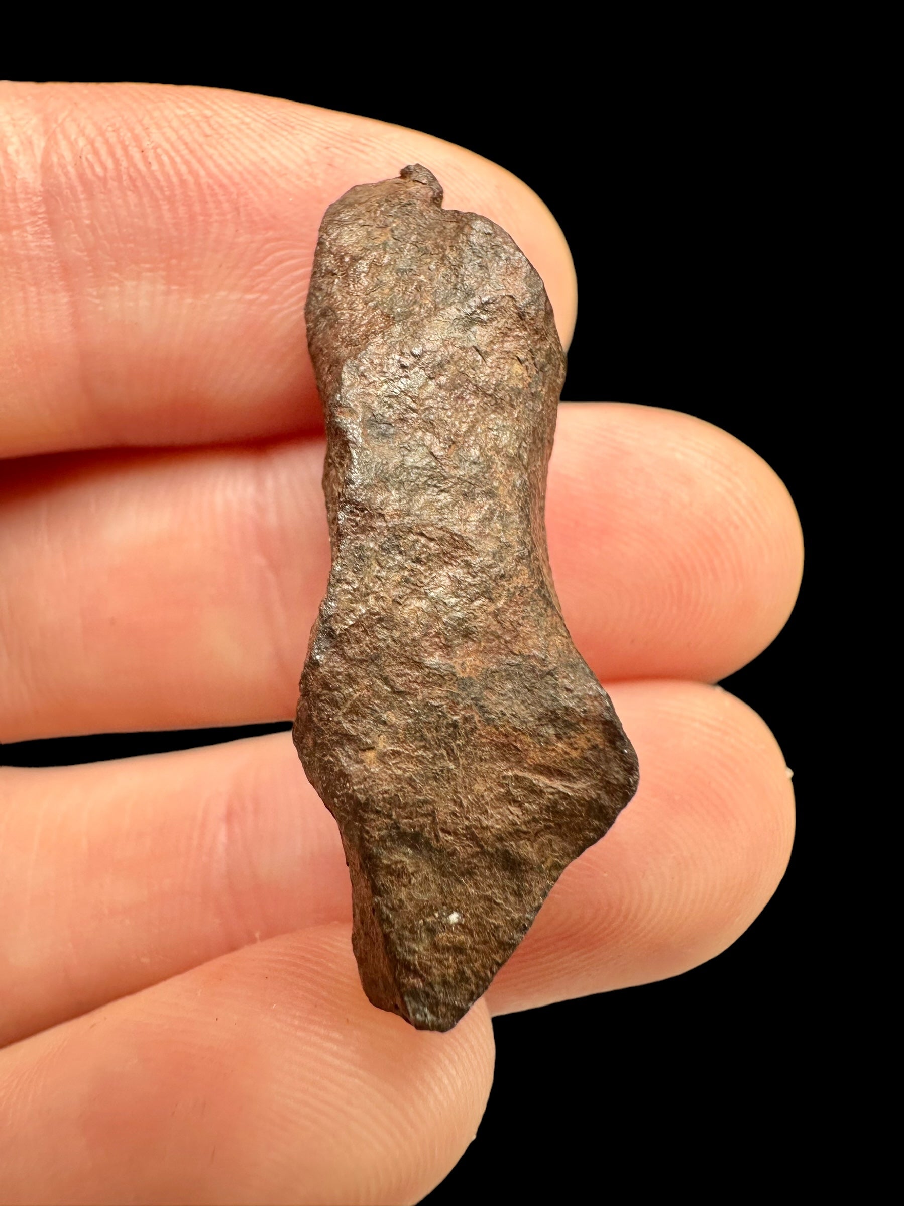 Meteorite Mundrabilla – Nullarbor plain, Australia – MEMU03