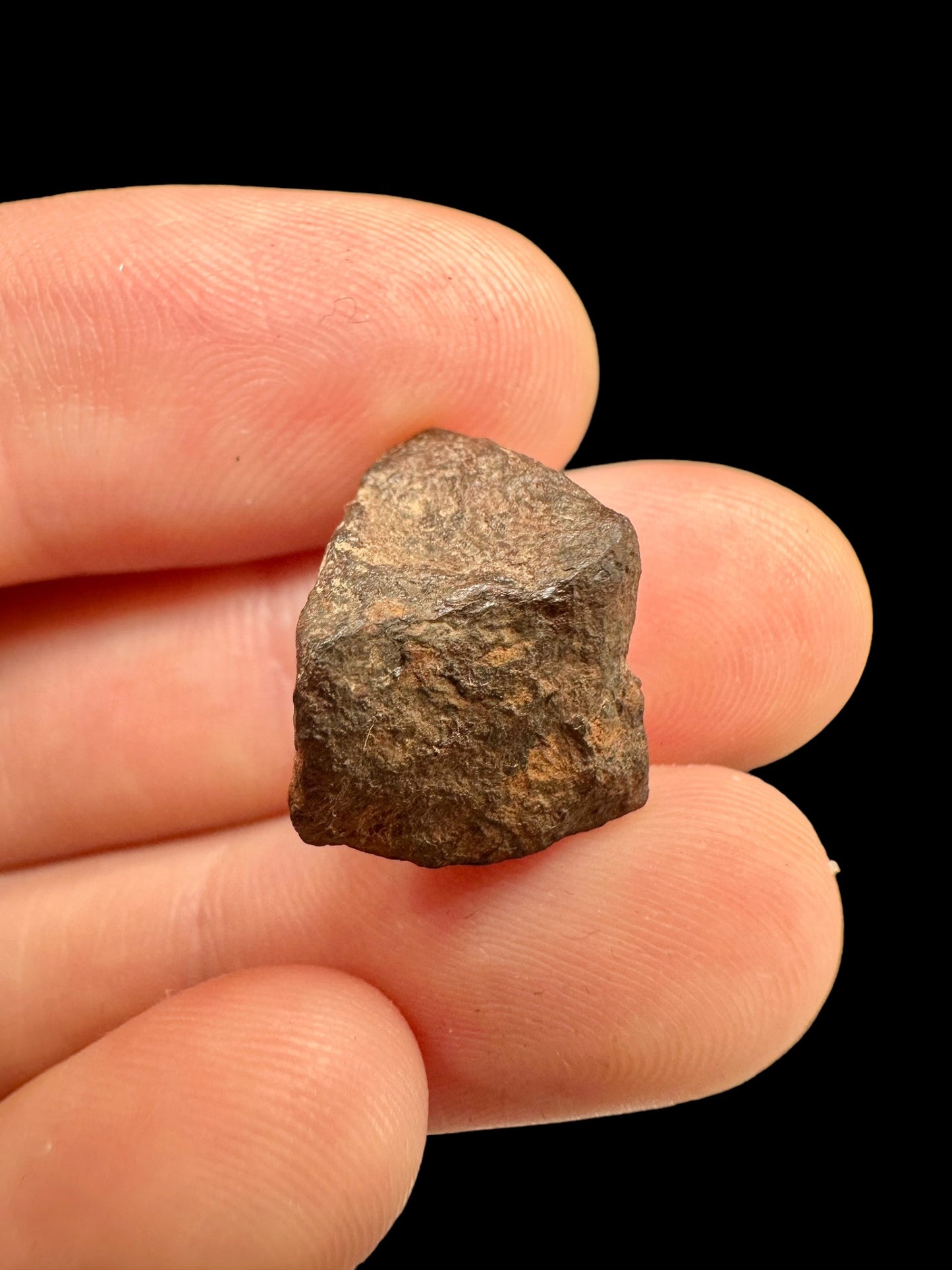 Meteorite Mundrabilla – Nullarbor plain, Australia – MEMU06