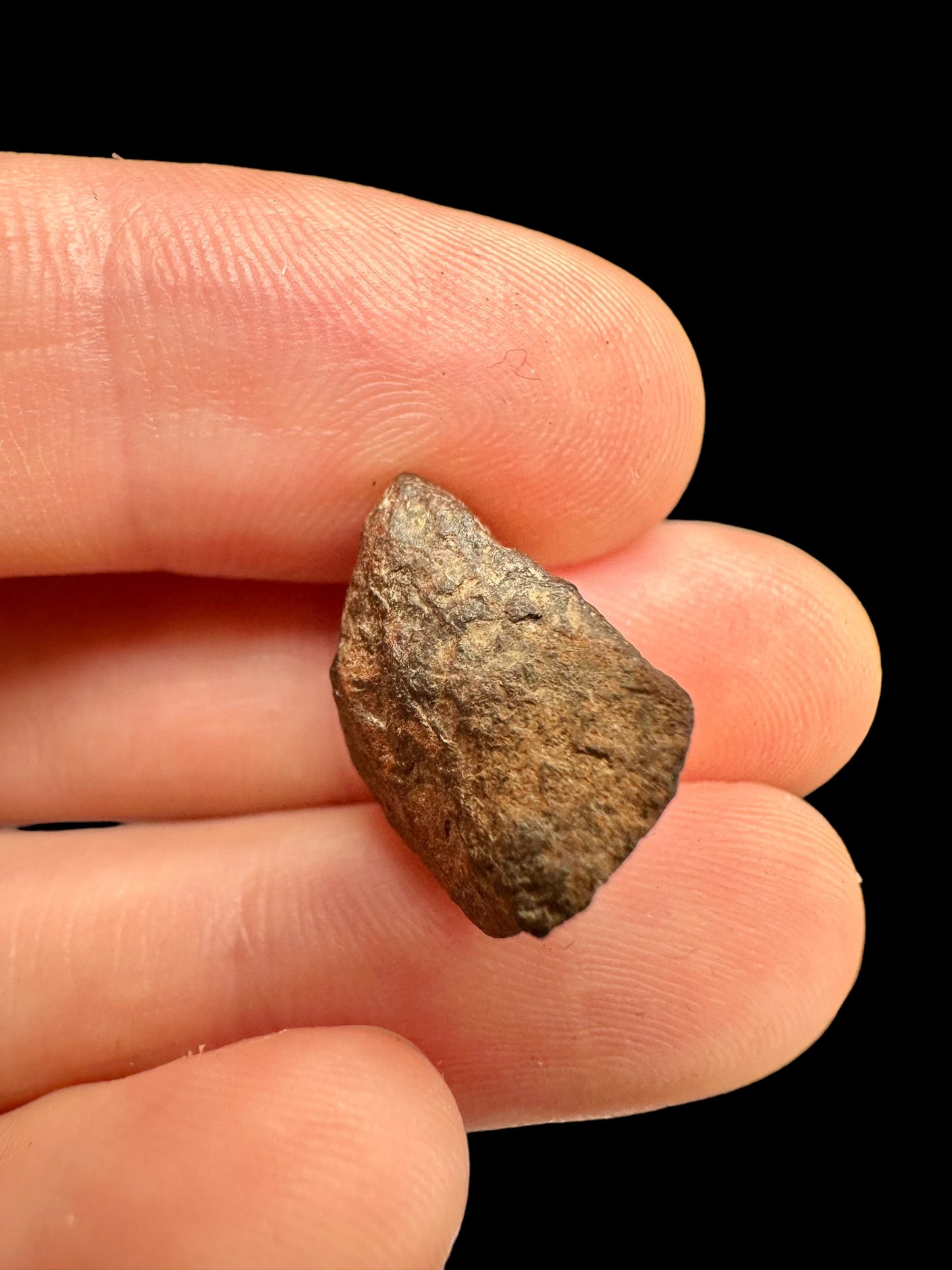 Meteorite Mundrabilla – Nullarbor plain, Australia – MEMU06