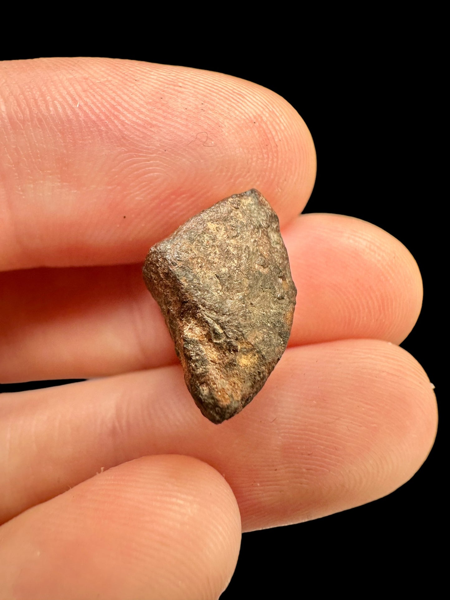 Meteorite Mundrabilla – Nullarbor plain, Australia – MEMU06