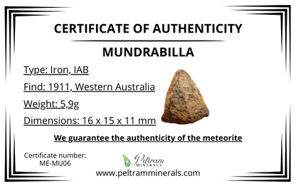 Meteorite Mundrabilla – Nullarbor plain, Australia – MEMU06