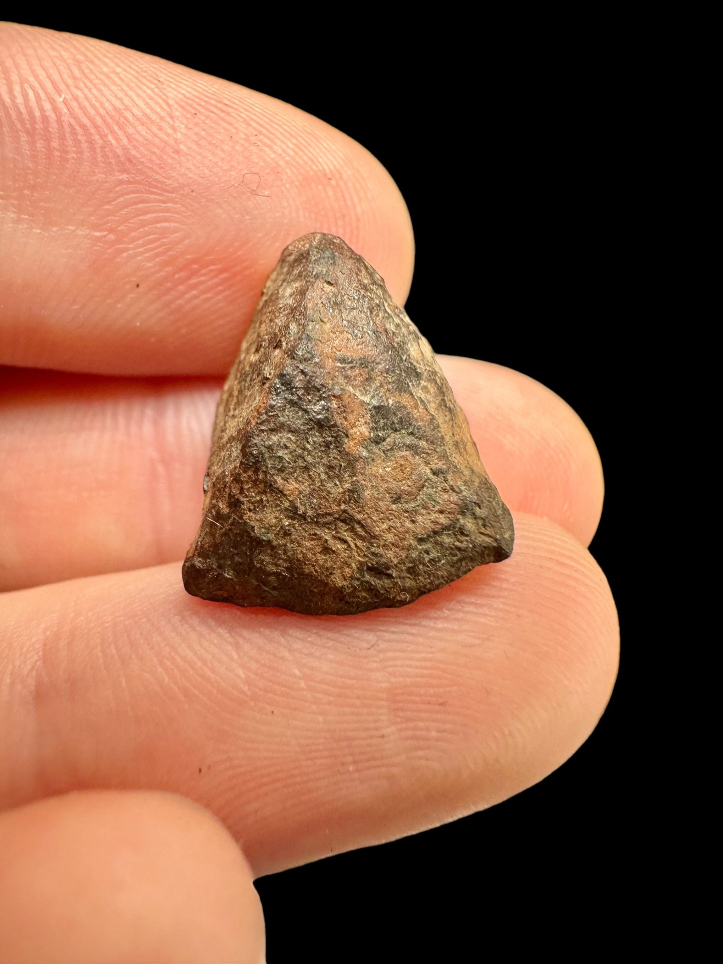 Meteorite Mundrabilla – Nullarbor plain, Australia – MEMU06