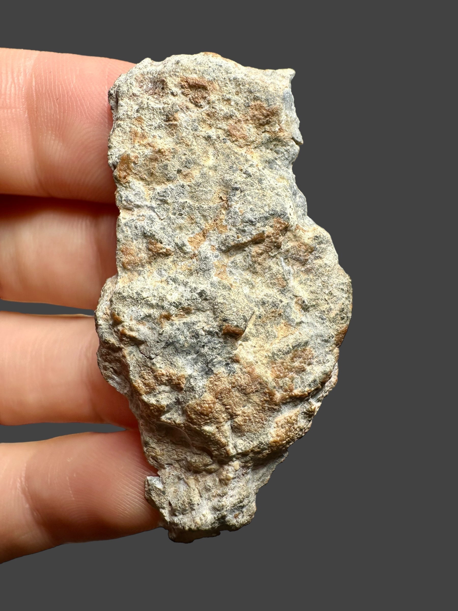 Lunar meteorite Bechar 003 – 7,6g – Algeria - MEBA02