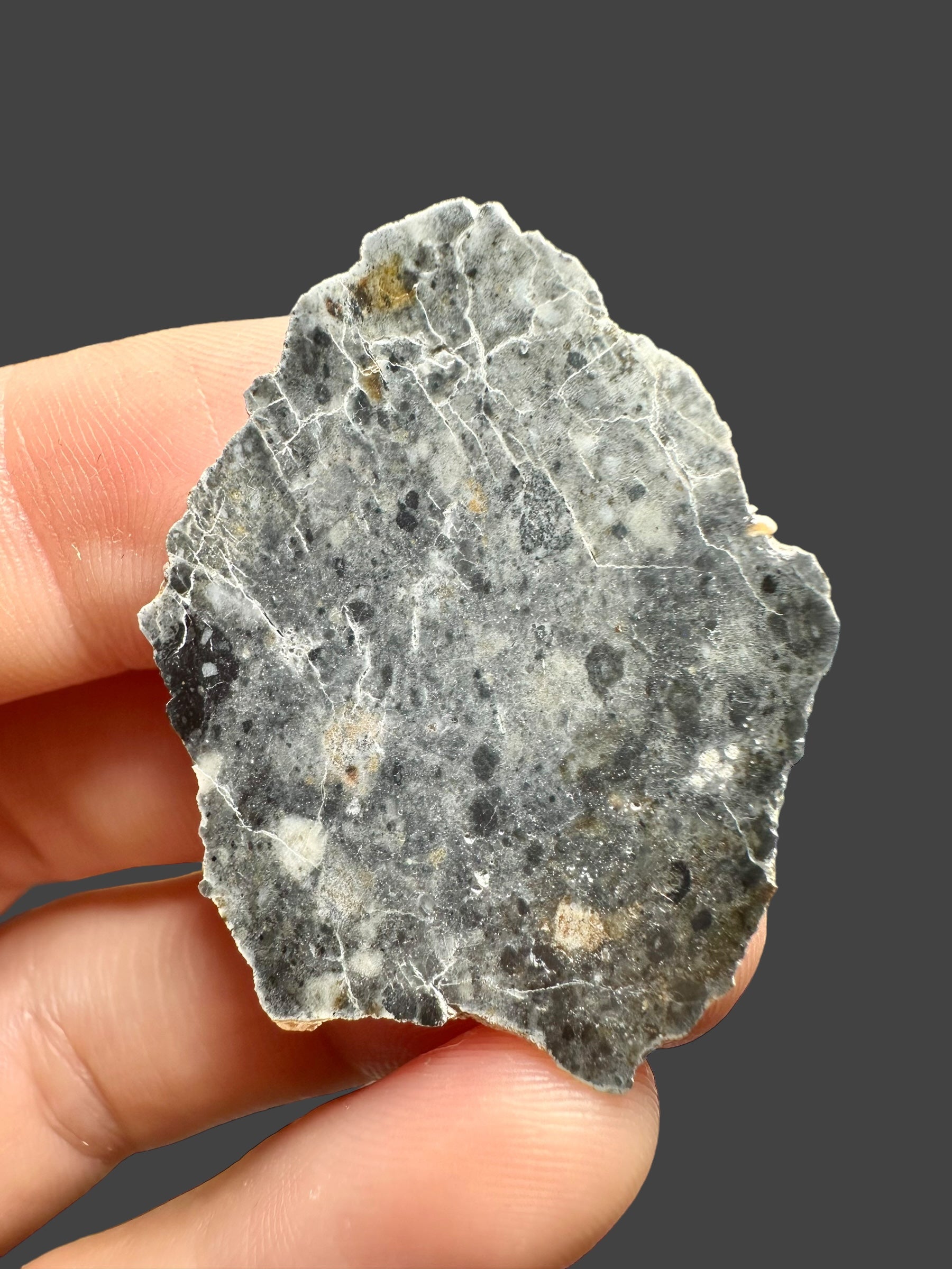 Lunar meteorite Bechar 003 – 2,93g – Algeria - MEBA06