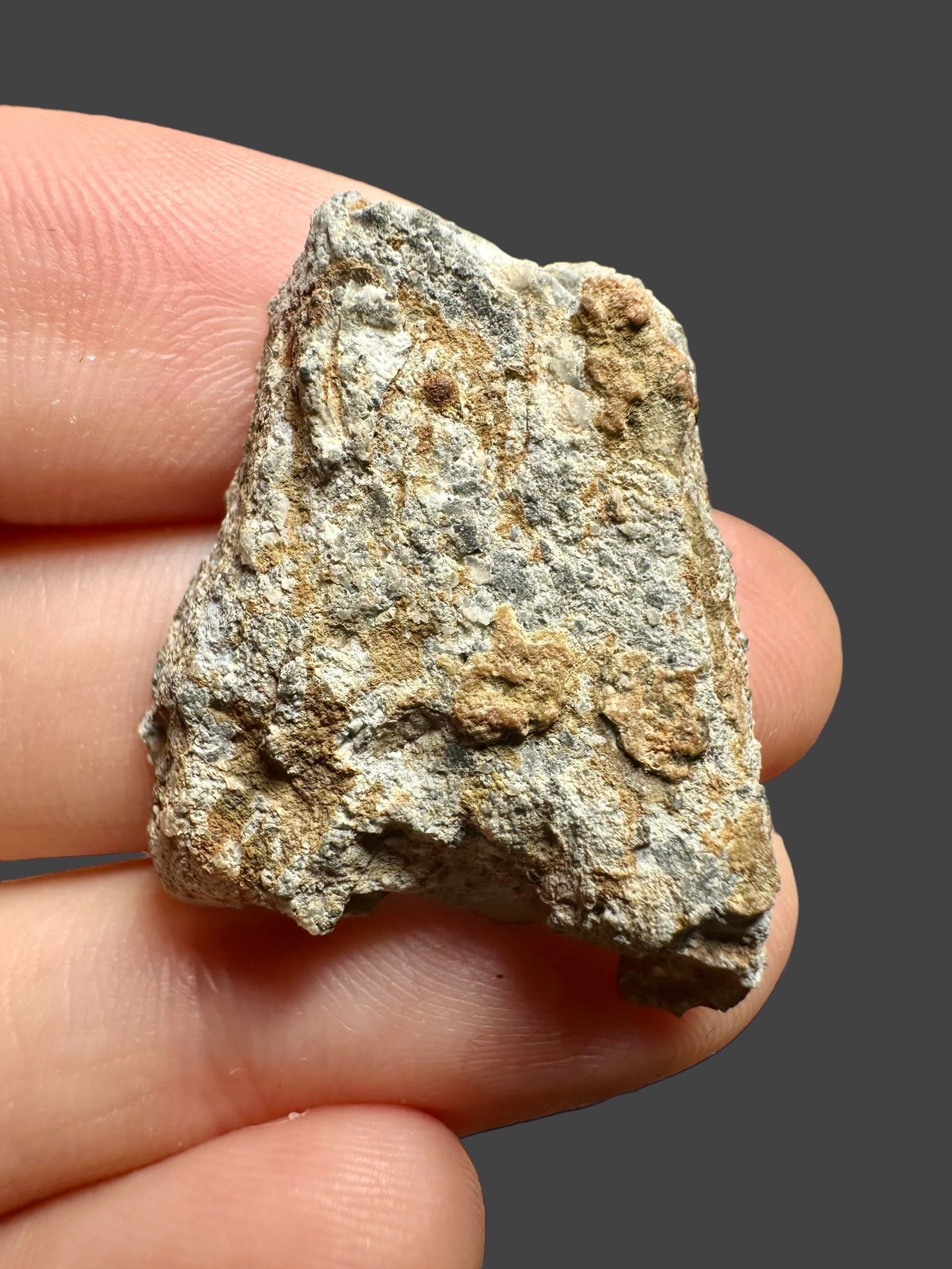 Lunar meteorite Bechar 003 – 4,66g – Algeria - MEBA09