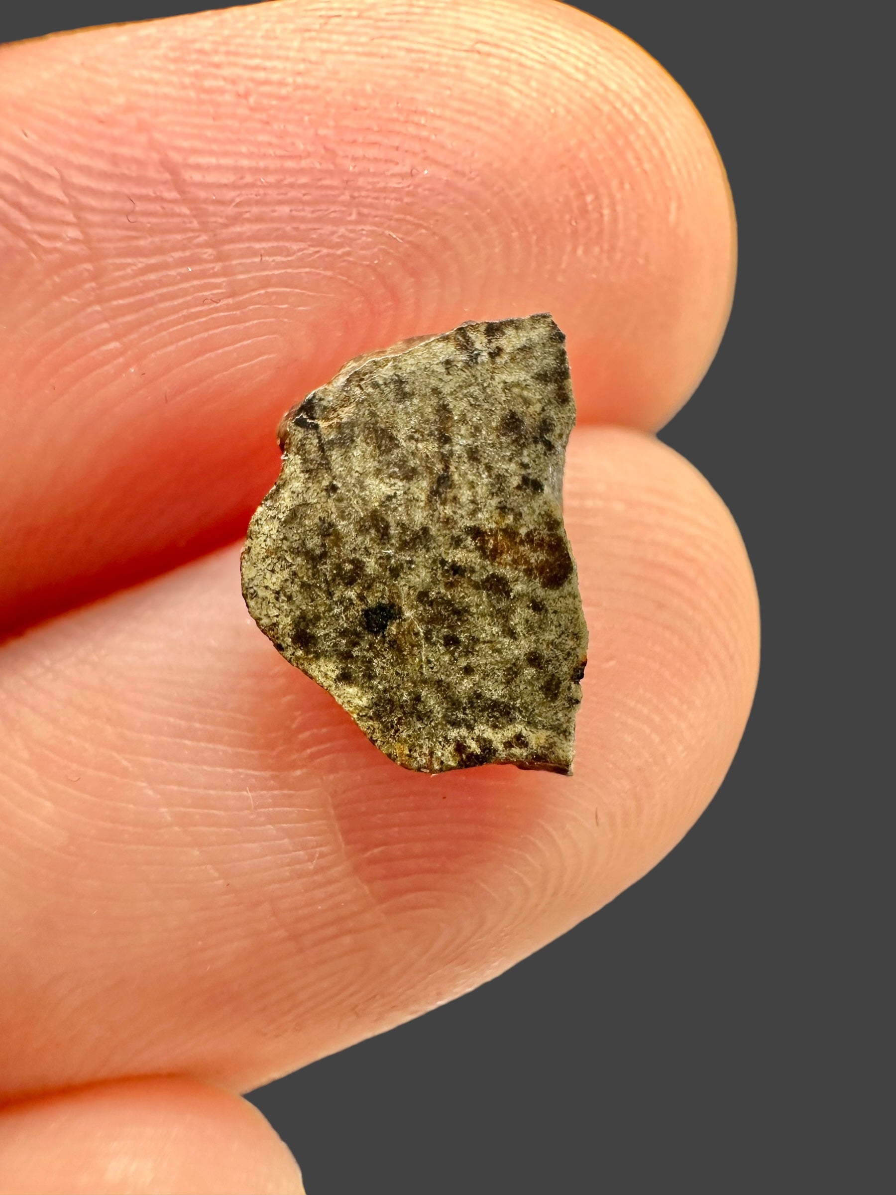 Meteorite Amgala 001 – 0,17g – Western Sahara - MEAM08