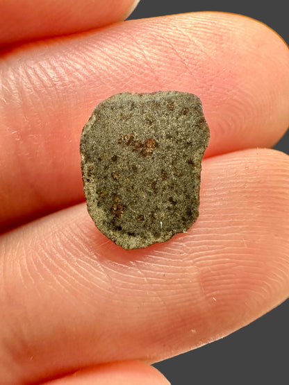 Meteorite Amgala 001 – Western Sahara – MEAM11