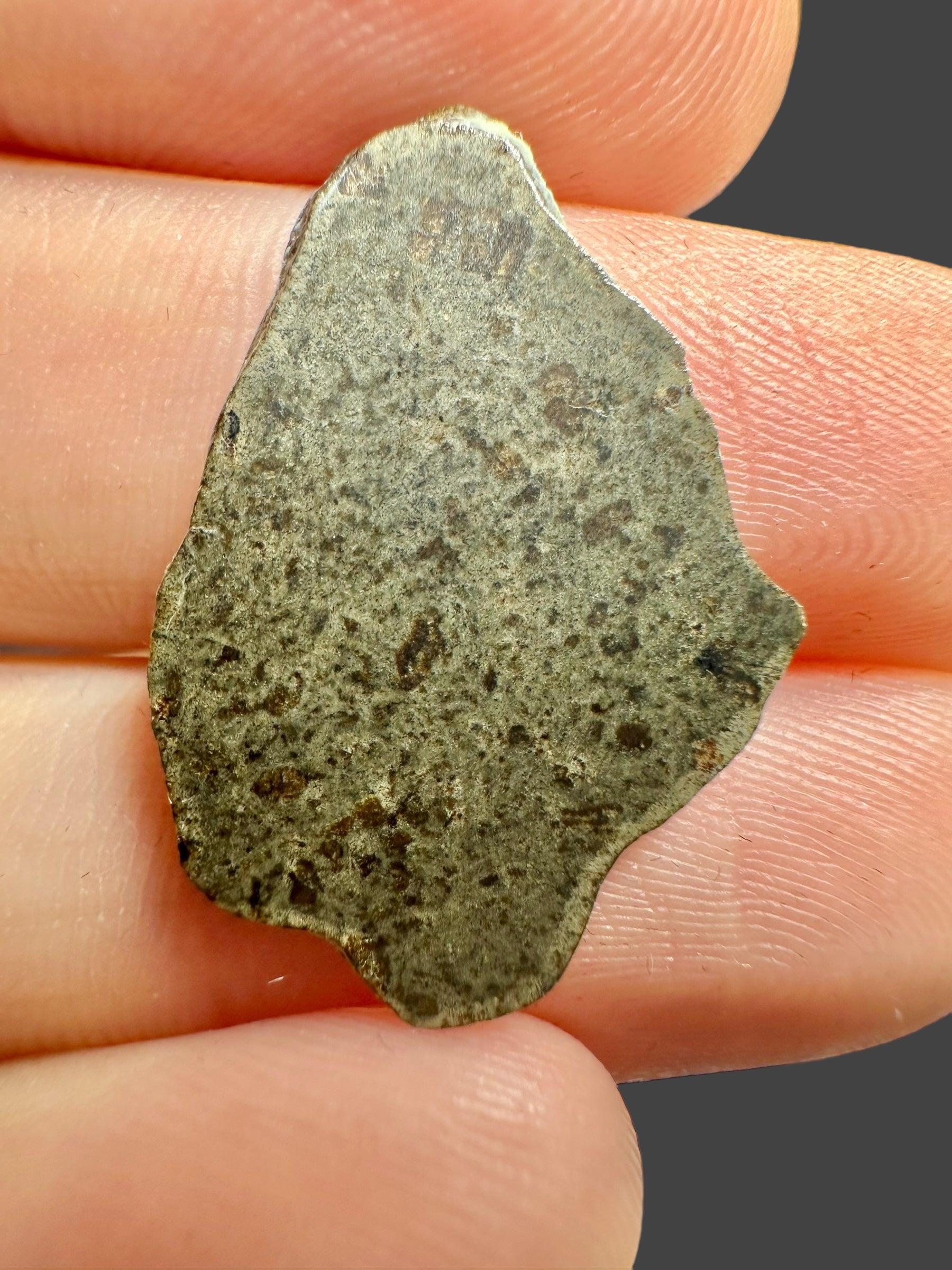 Meteorite Amgala 001 – 0,78g – Western Sahara - MEAM18