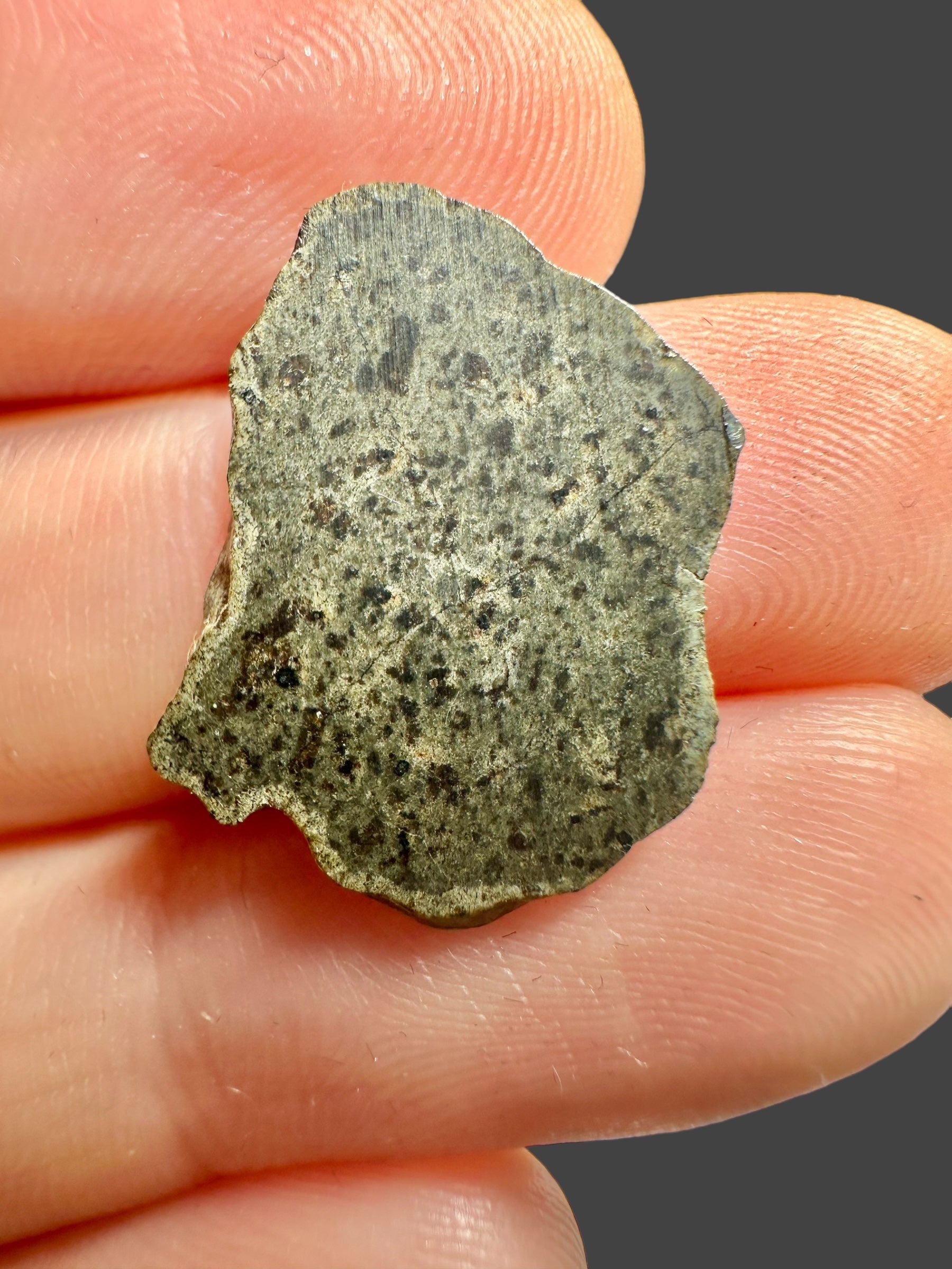 Meteorite Amgala 001 – 0,77g – Western Sahara - MEAM19