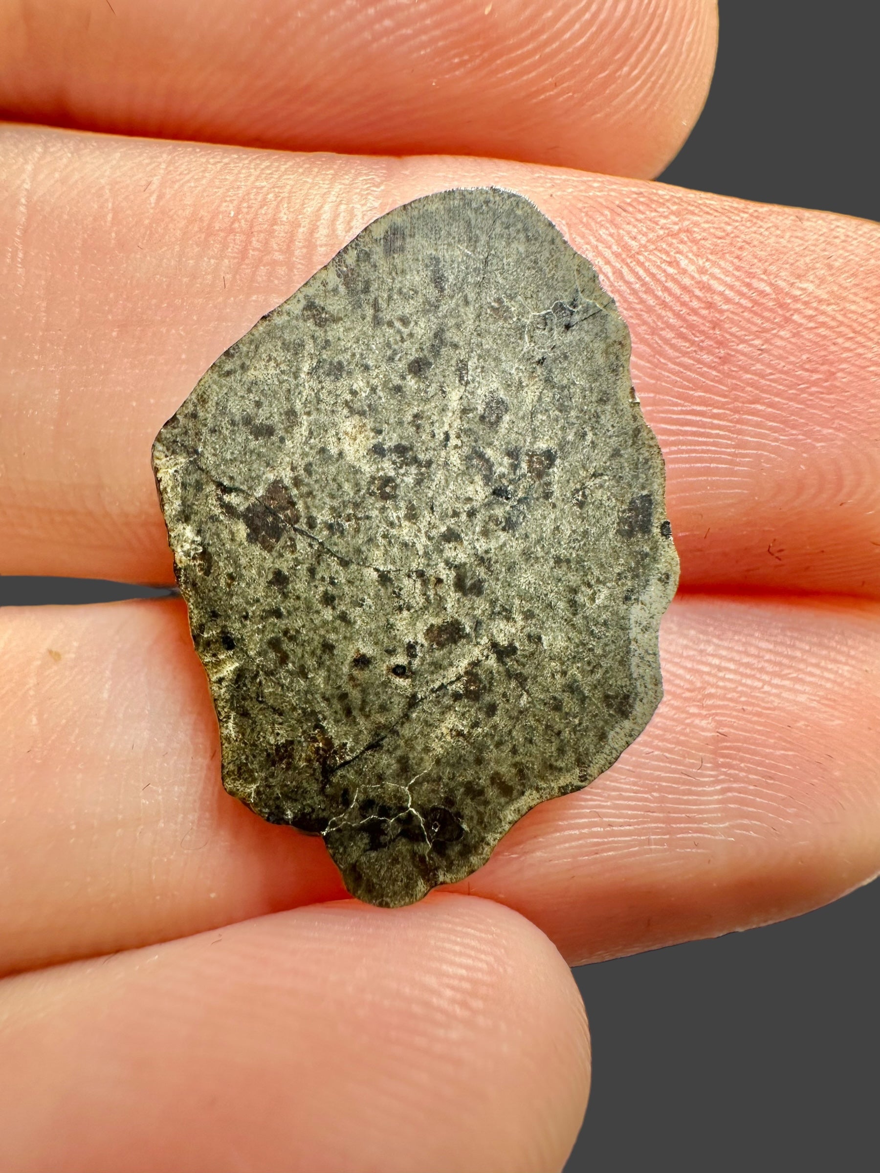 Meteorite Amgala 001 – 0,77g – Western Sahara - MEAM20