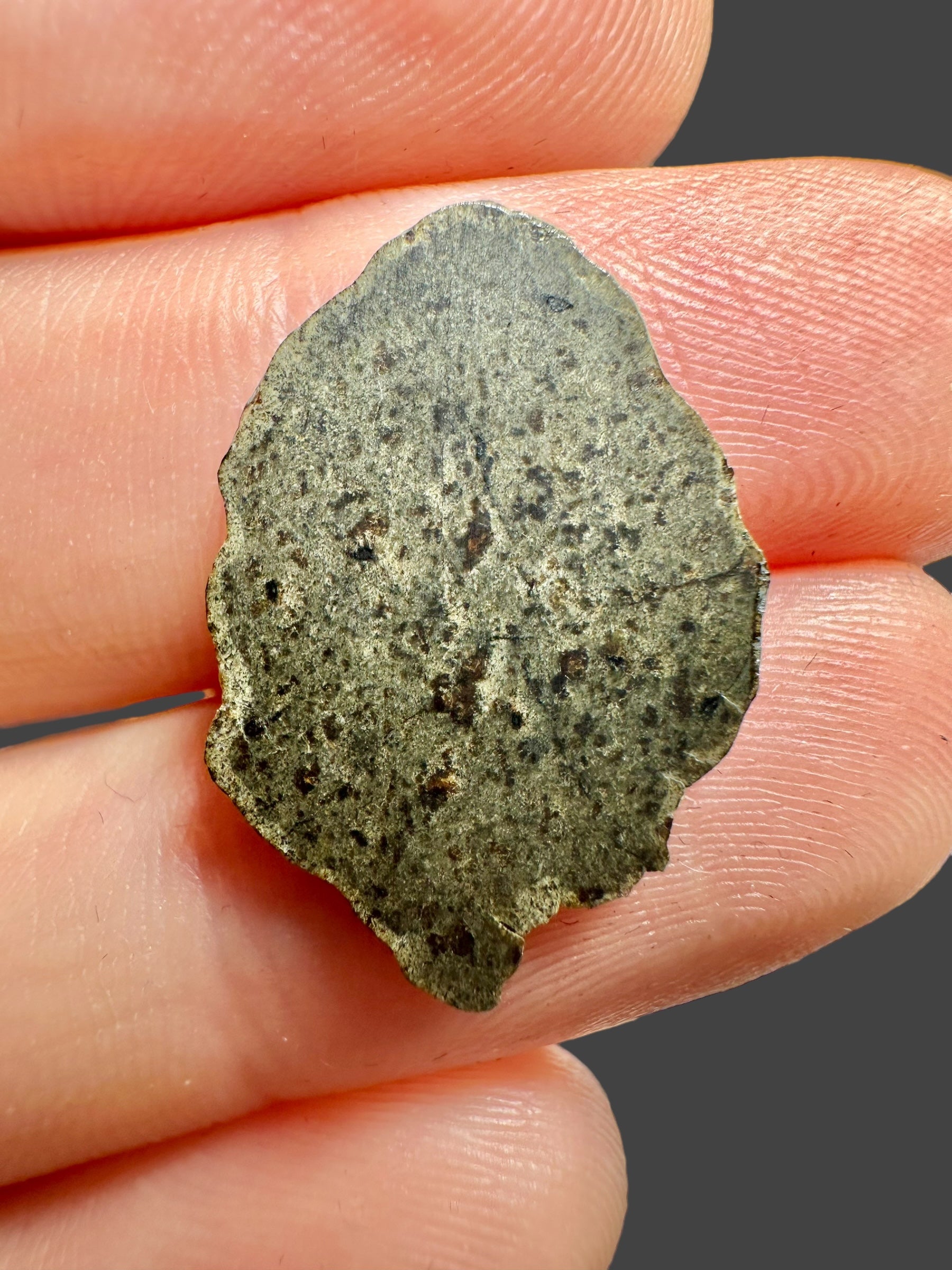 Meteorite Amgala 001 – 0,69g – Western Sahara - MEAM22