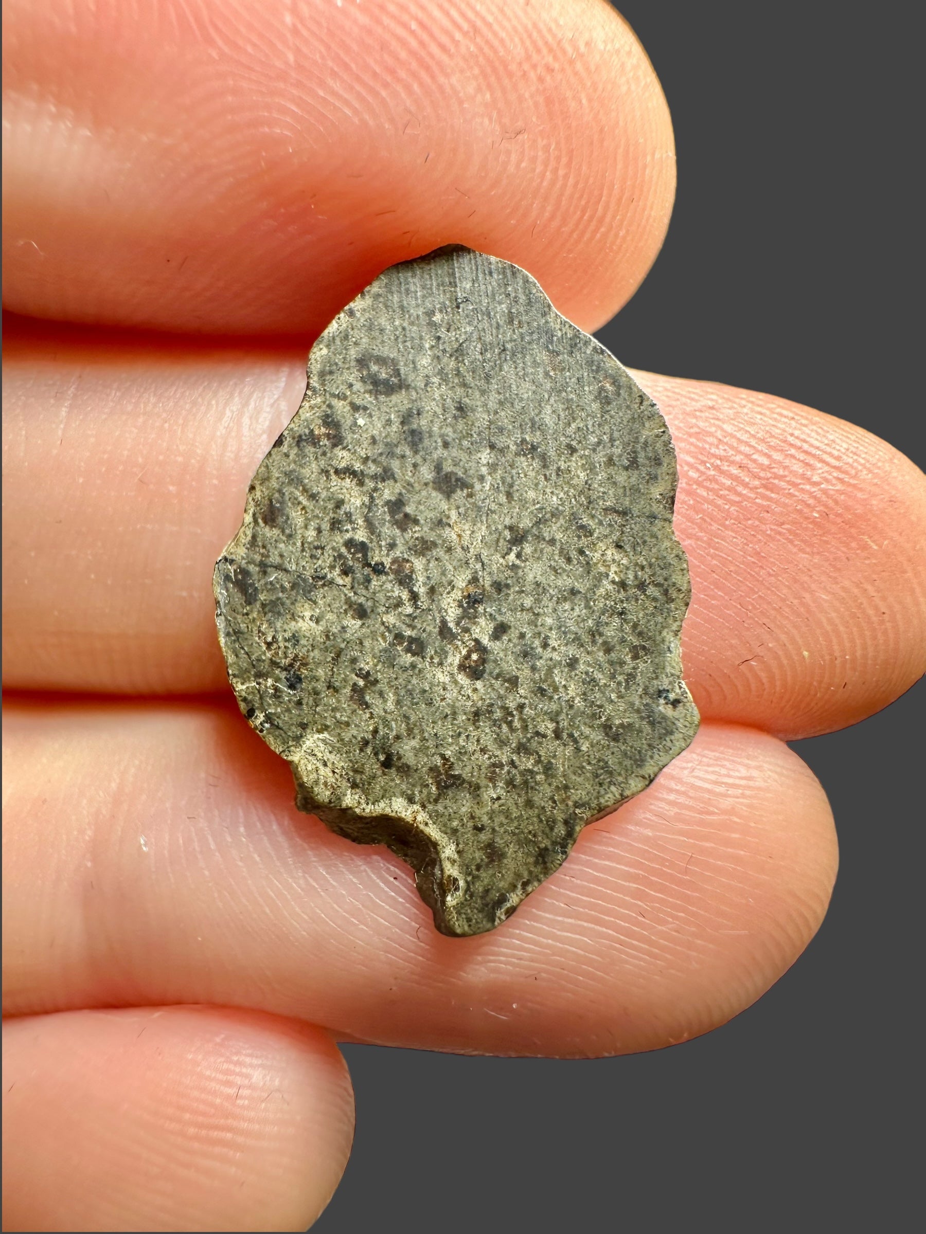Meteorite Amgala 001 – 0,69g – Western Sahara - MEAM22