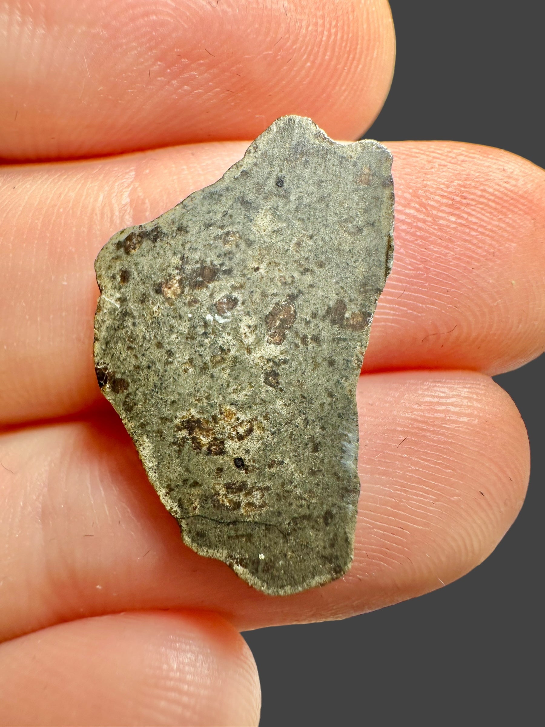 Meteorite Amgala 001 – 0,65g – Western Sahara - MEAM23