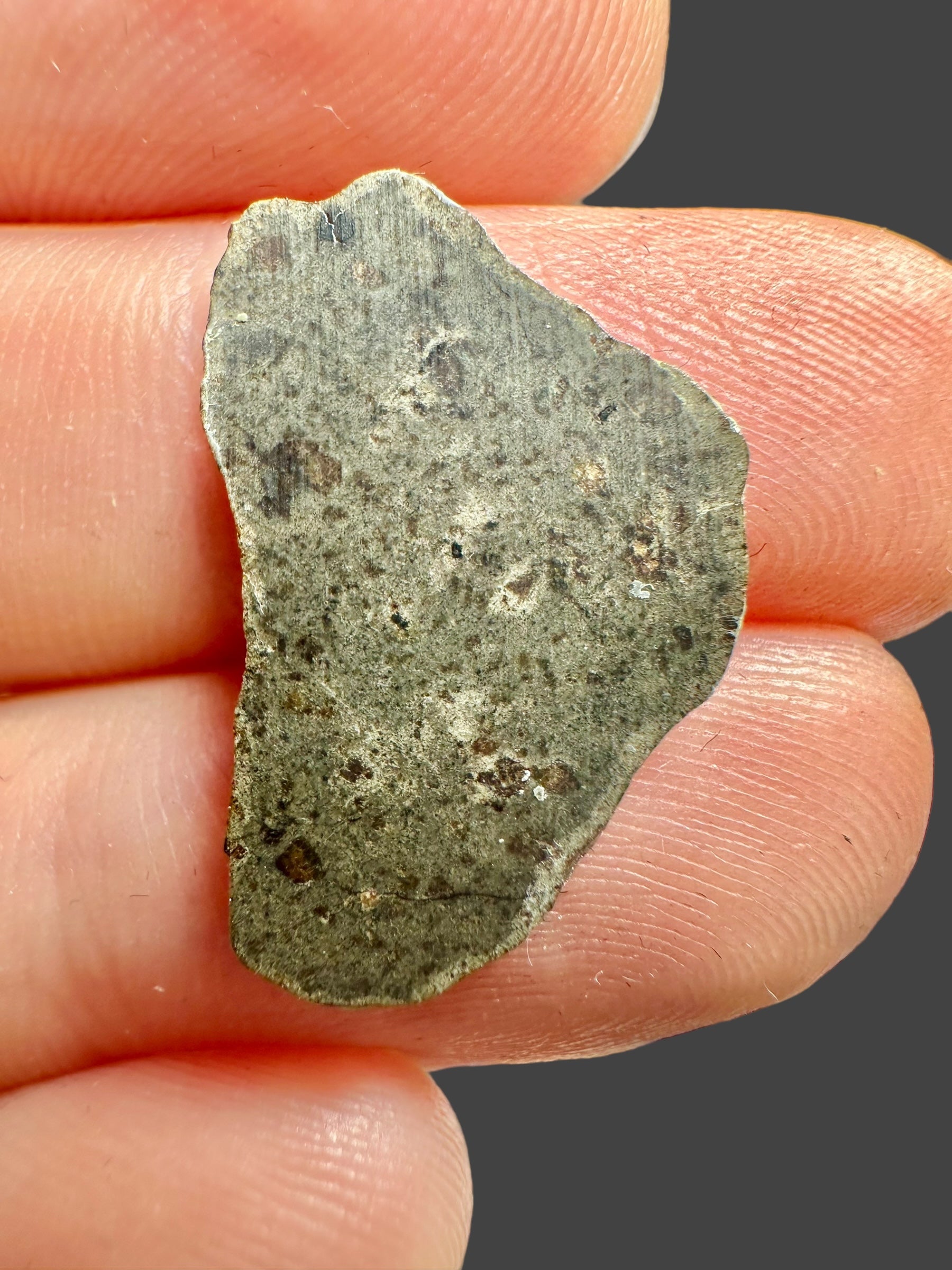 Meteorite Amgala 001 – 0,65g – Western Sahara - MEAM23