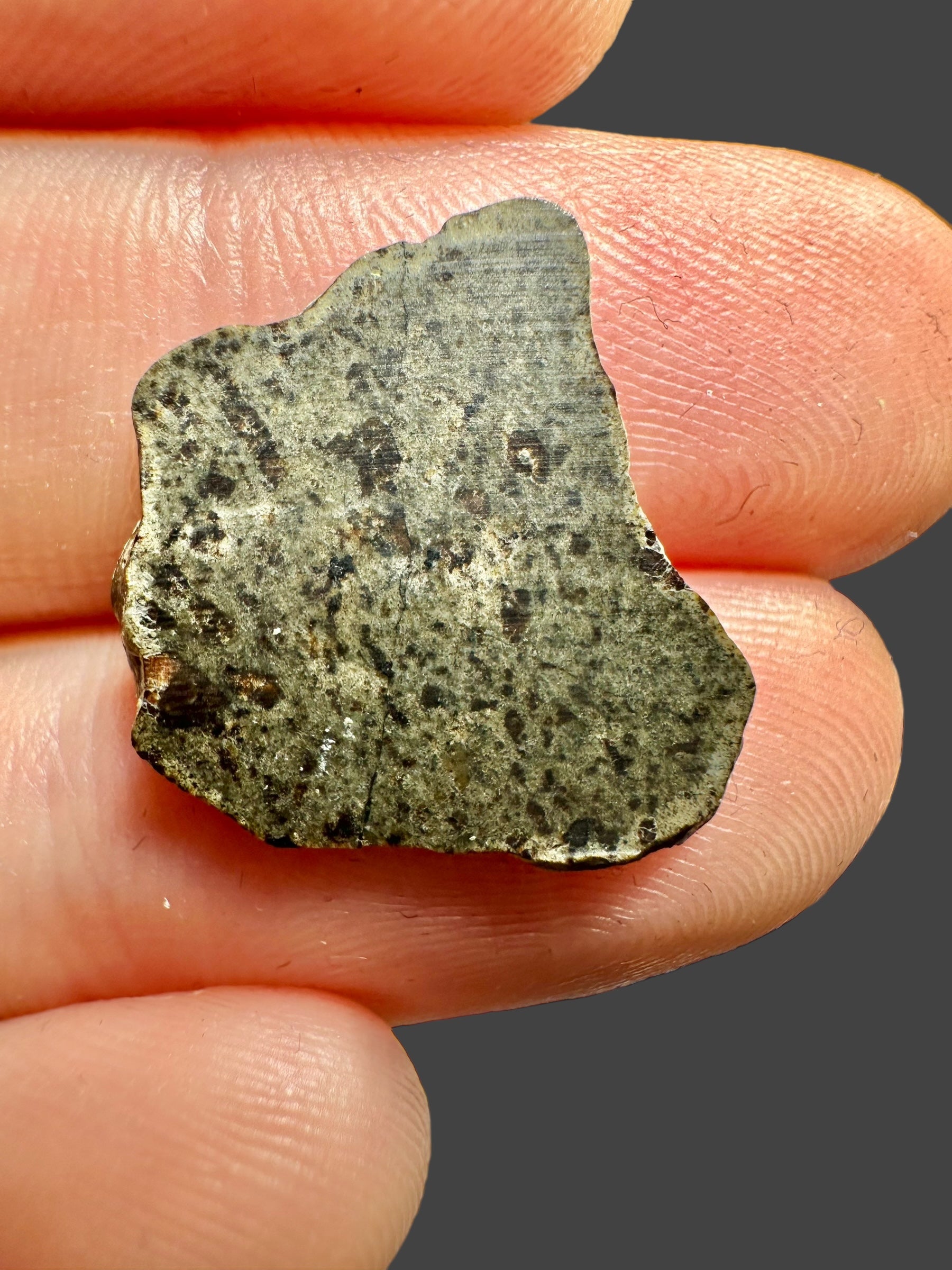 Meteorite Amgala 001 – 0,62g – Western Sahara - MEAM25